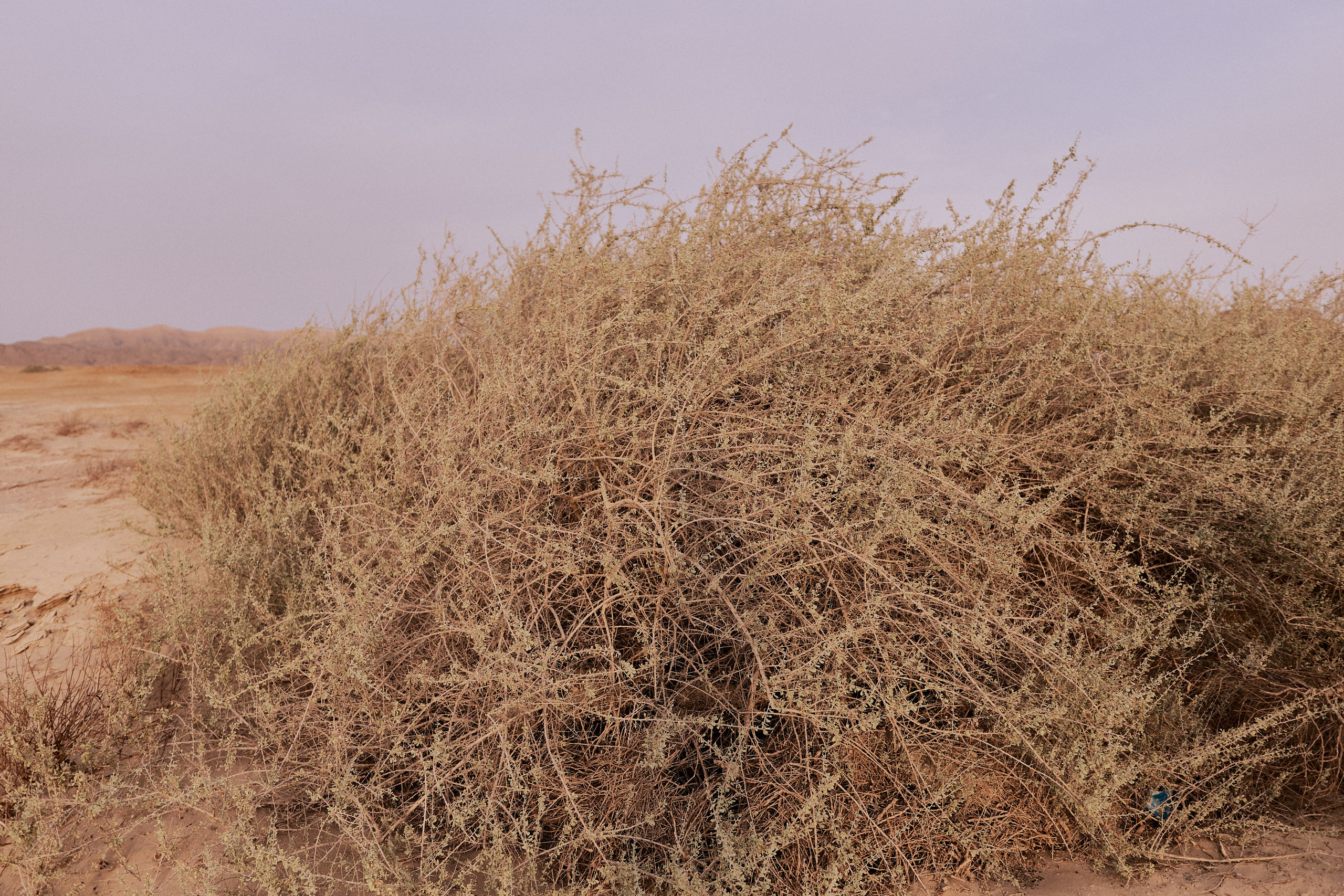 Другое 3. Jorgis Talè — photographer, kind person, teacher of arts and other mag