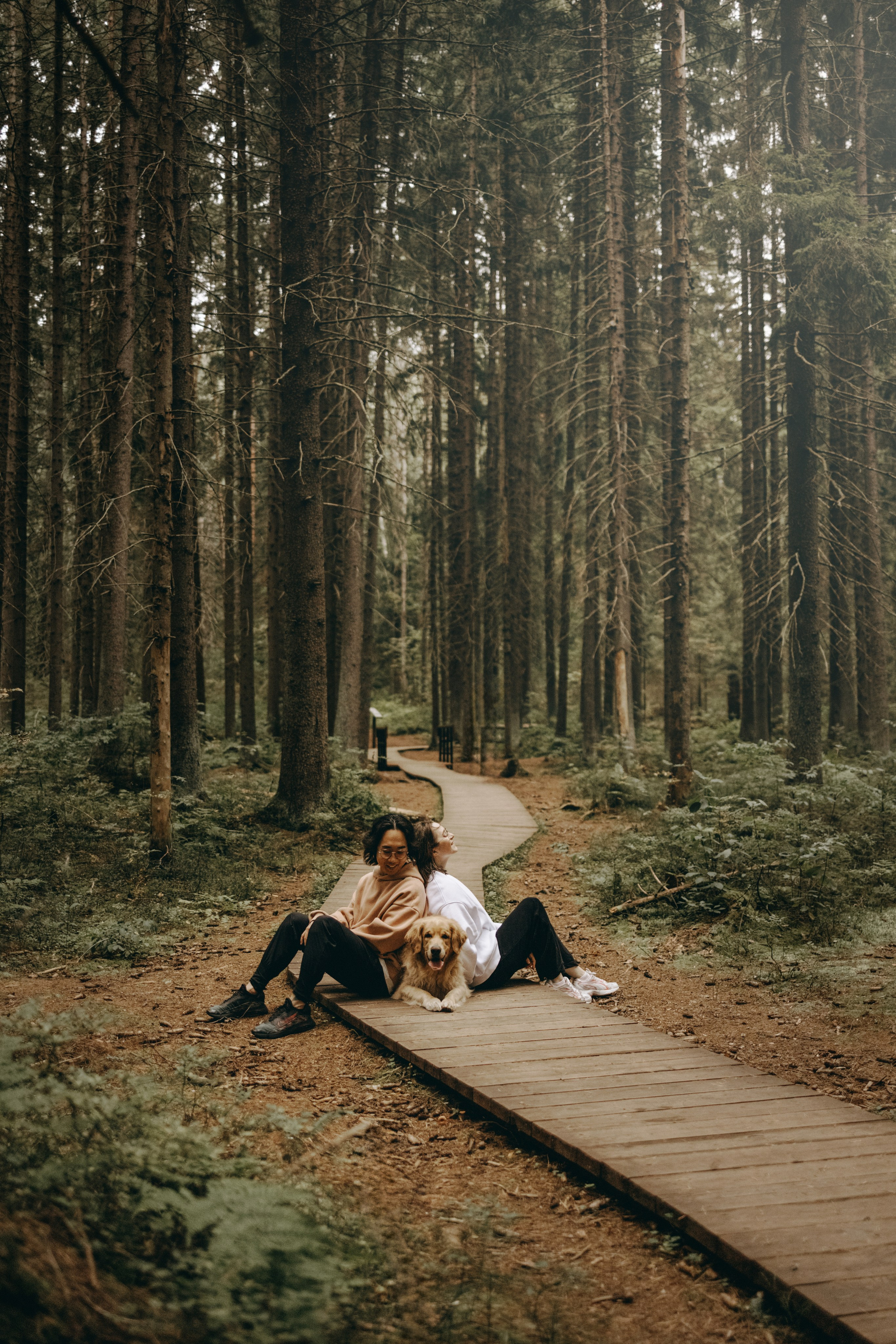 Фоси и его семьи. Фотограф — Анималист | Санкт-Петербург