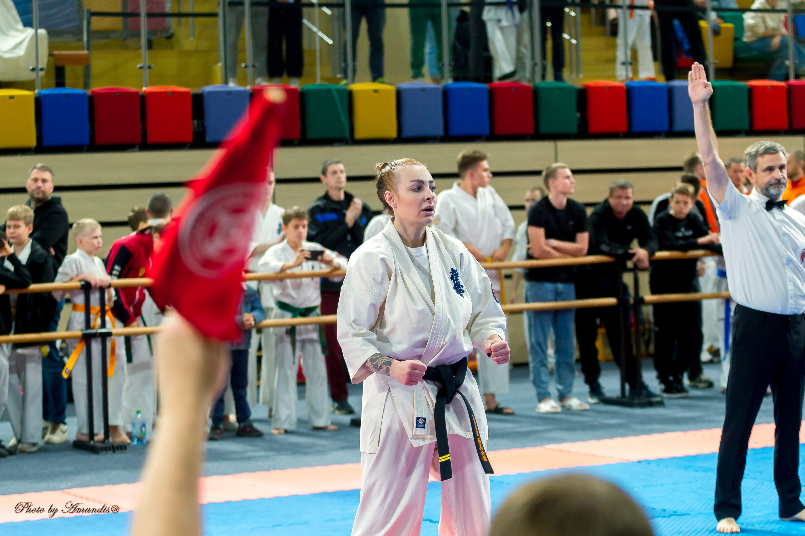 Первенство Московской области по Киокушин в СК «Жаворонки». Репортажная съемка в Москве и области. Анималистика