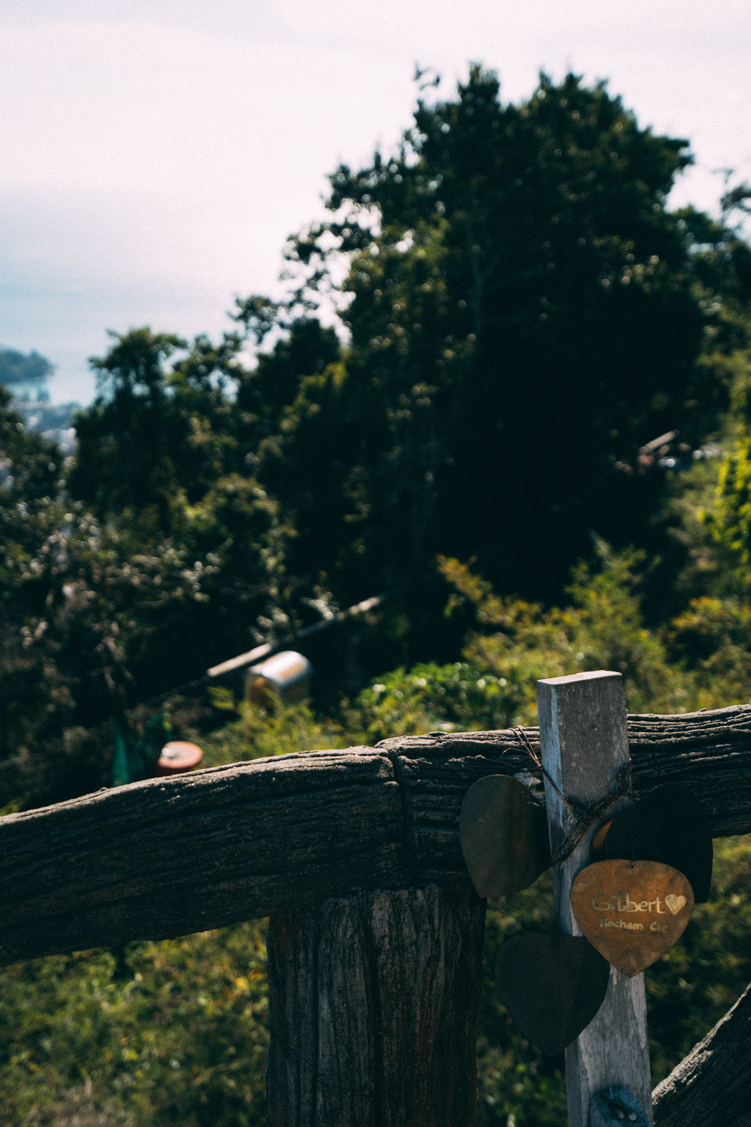 Тайланд. Фотограф Алиса Аспер