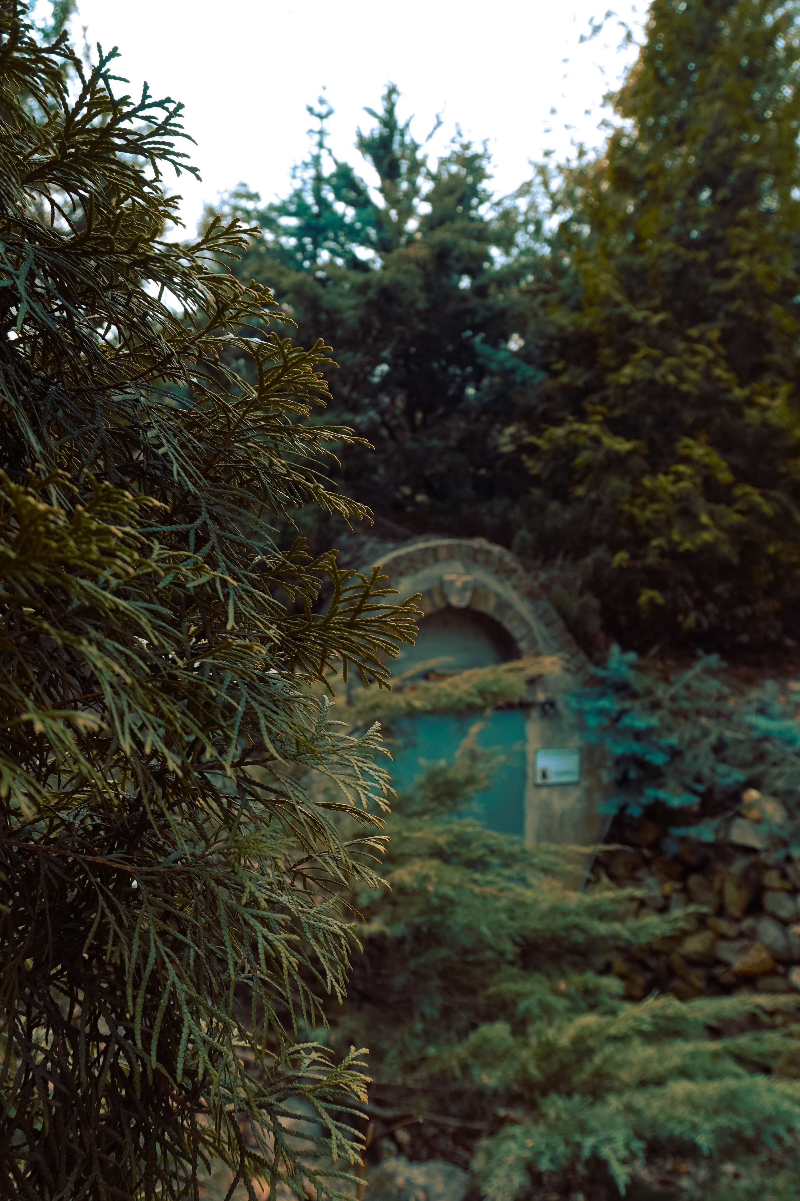 Ботанический сад. Фотограф Алиса Аспер