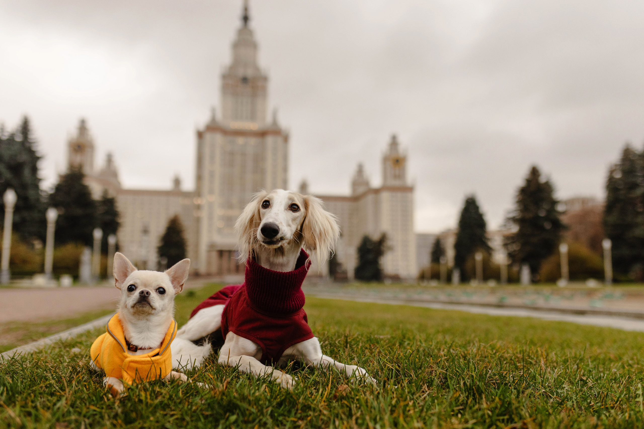 Москва / Марина и Лира, Полина и Деймон. Фотограф Кузина Вера