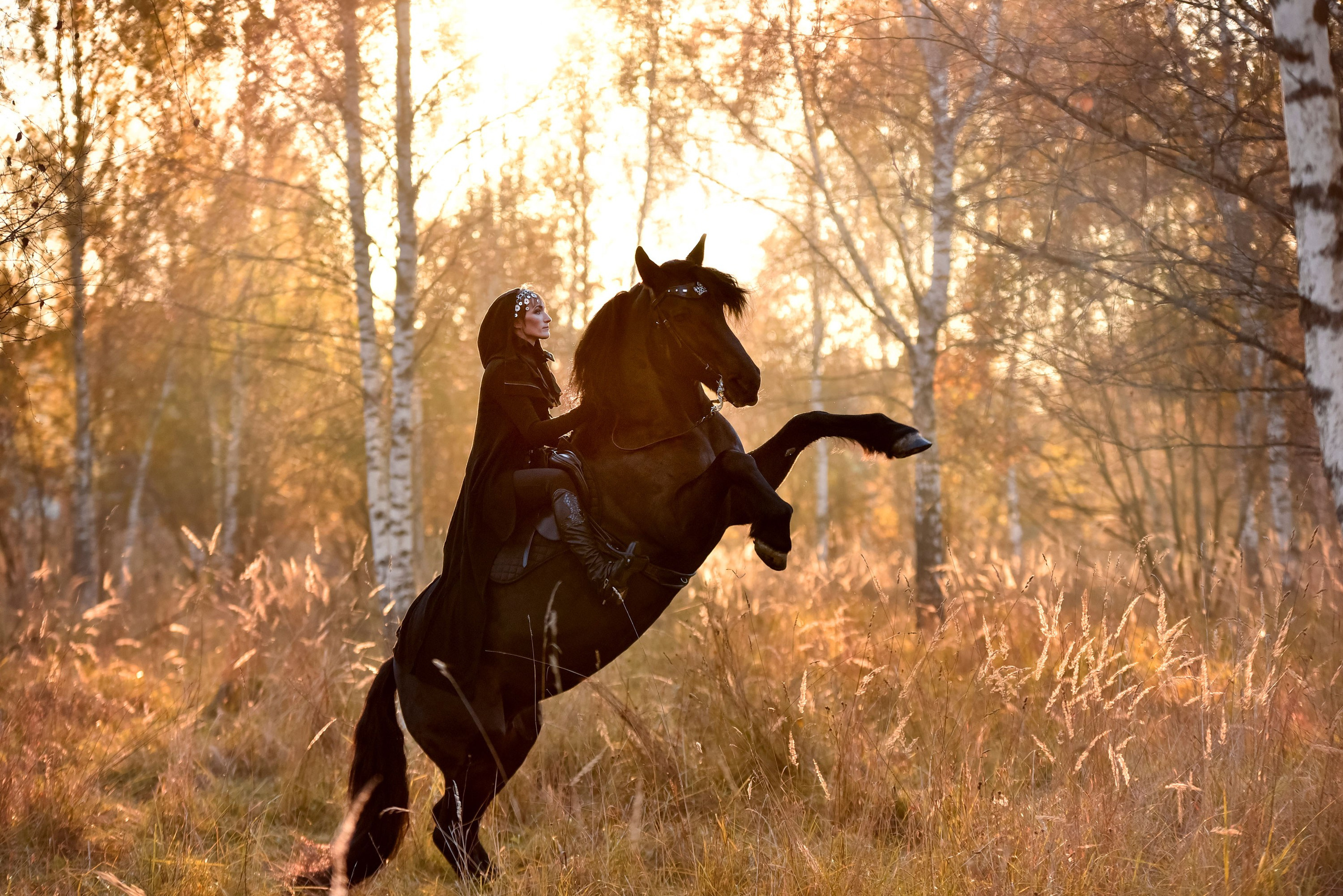Съемки с лошадьми. Конный фотограф из Москвы Ирина Бондаркова