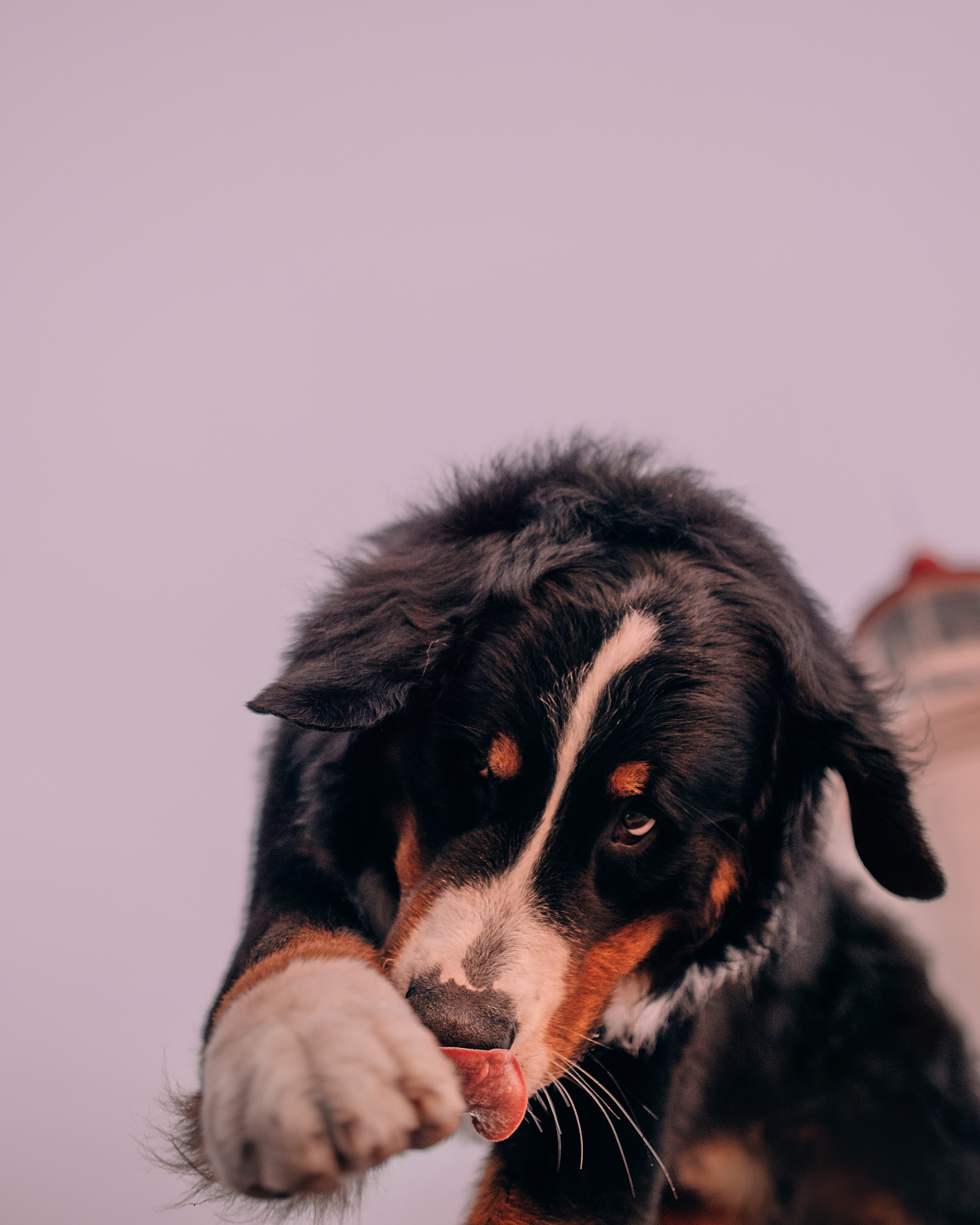 Владивосток: Марс и Маша. Портфолио