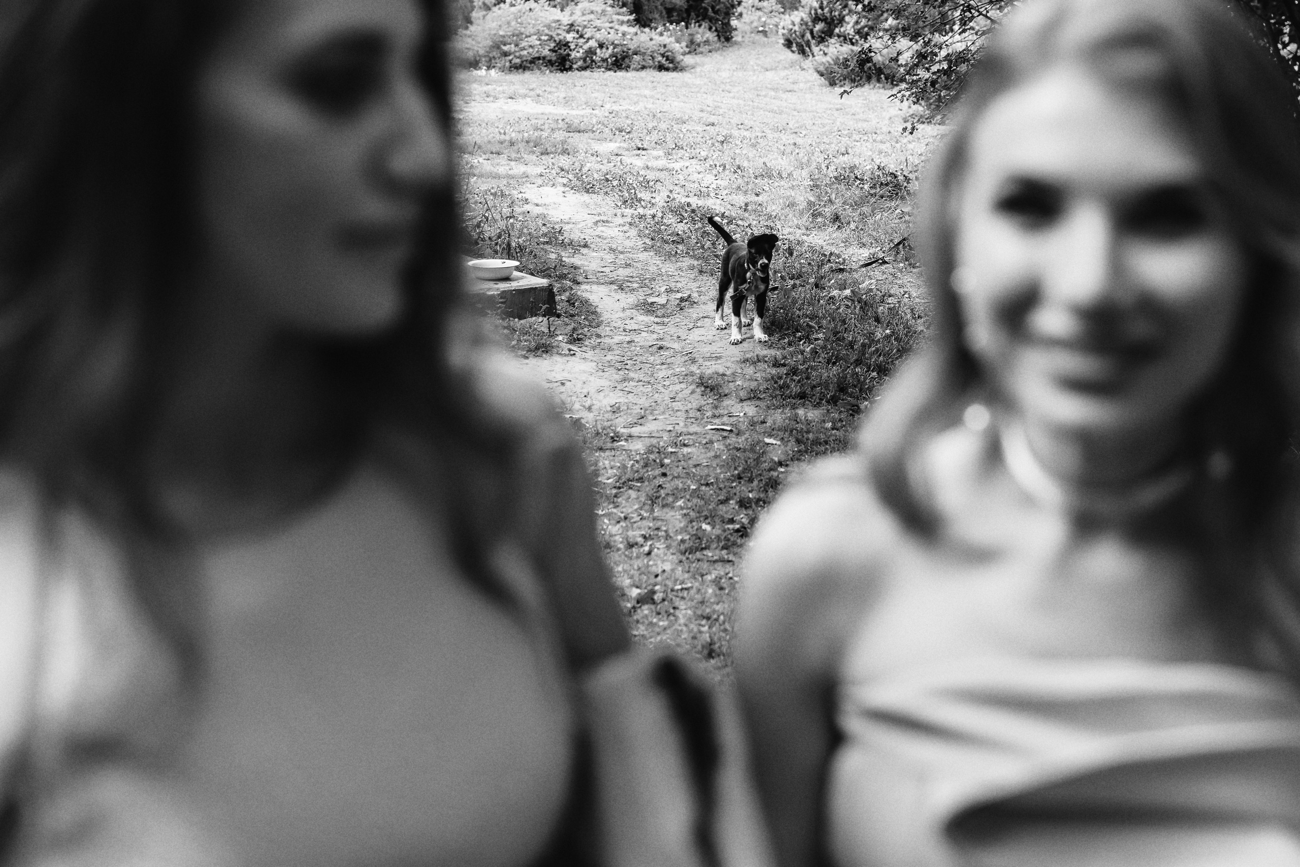 June 2021 | Julia & Dmitriy. Wedding, romantic photo, family holidays. Workshops