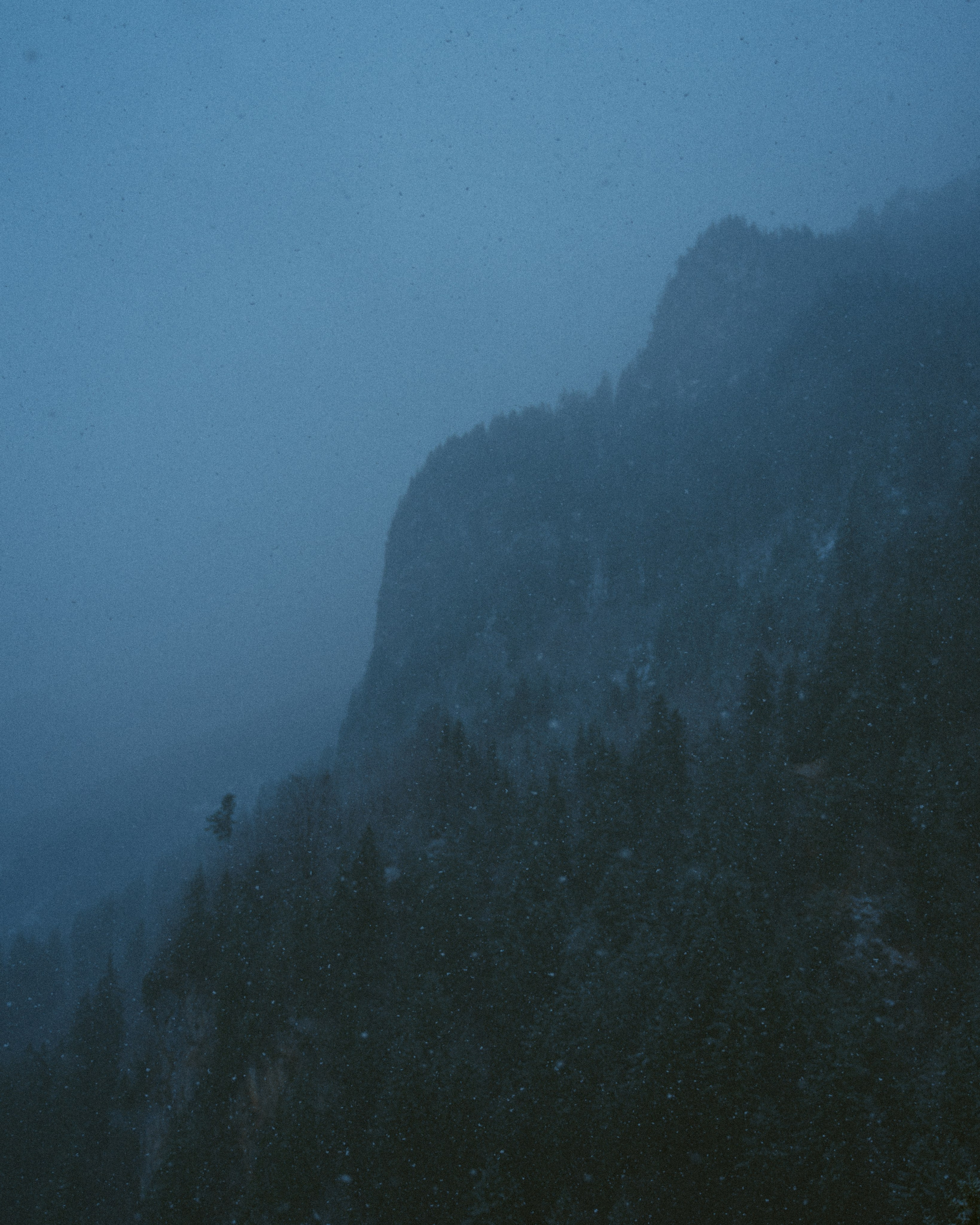 Германия. Фотограф Екатерина Катунова | Москва