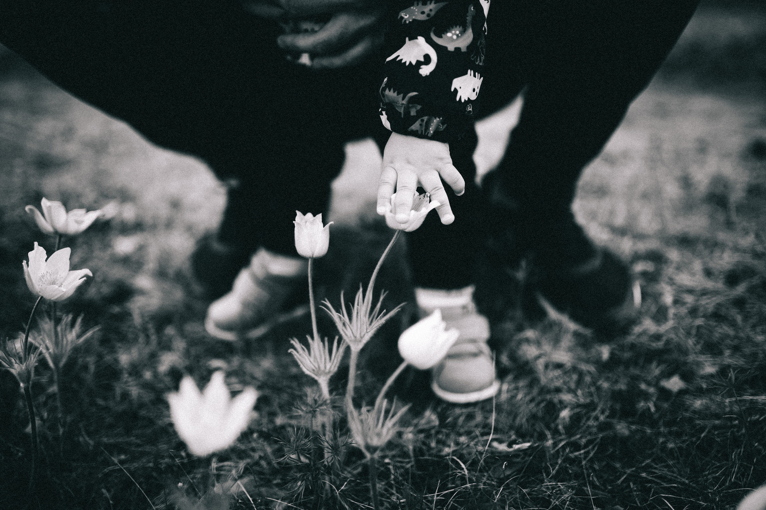 Вероника+Гера= Артур. Ustinov Photo