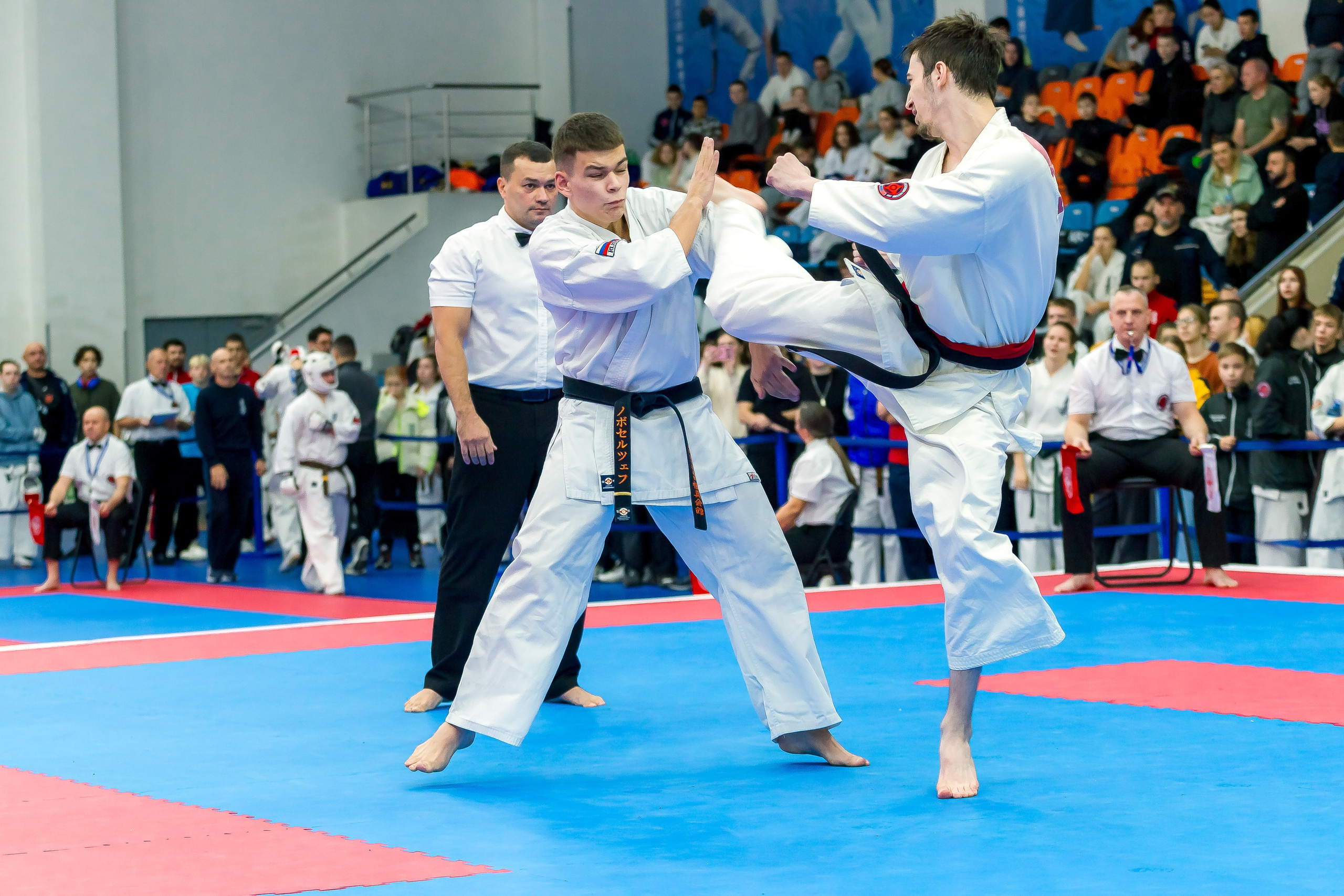 Соревнования по Киокушин памяти С. Увицкого. Репортажная съемка в Москве и области. Анималистика