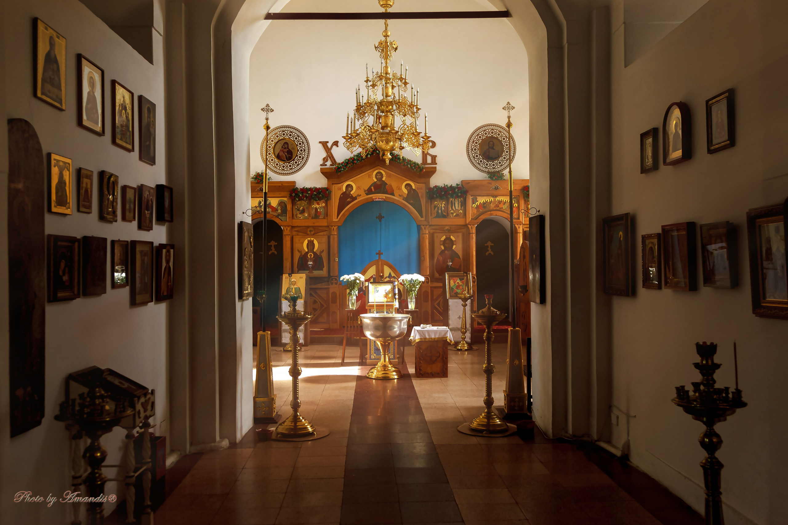 Крещение в д. Еганово (август 2024). Репортажная съемка в Москве и области. Анималистика