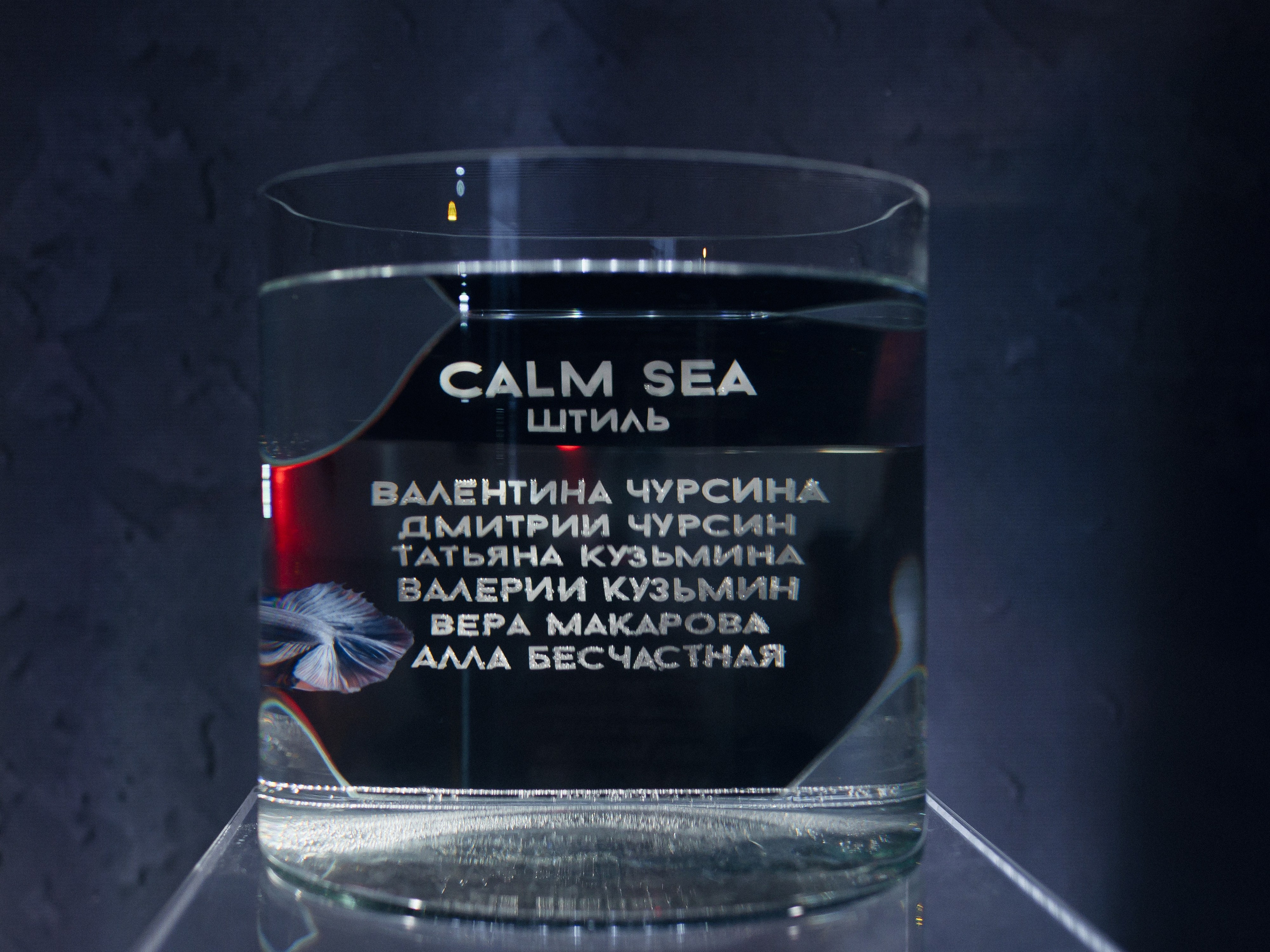 ПОЛИНА И ГЛЕБ, ПАРК СИТИ. Свадебный и индивидуальный фотограф в Челябинске Евгения Негодяева