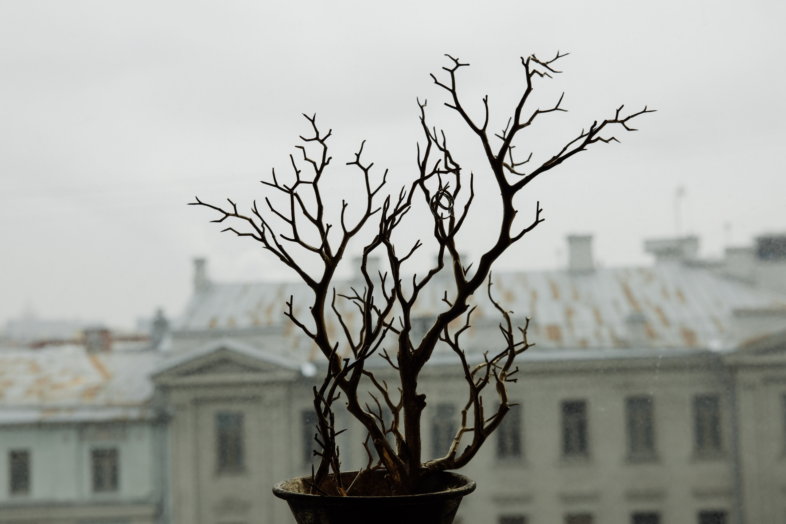Особняк Леман. Свадебный фотограф в Москве, Самаре, Тольятти
