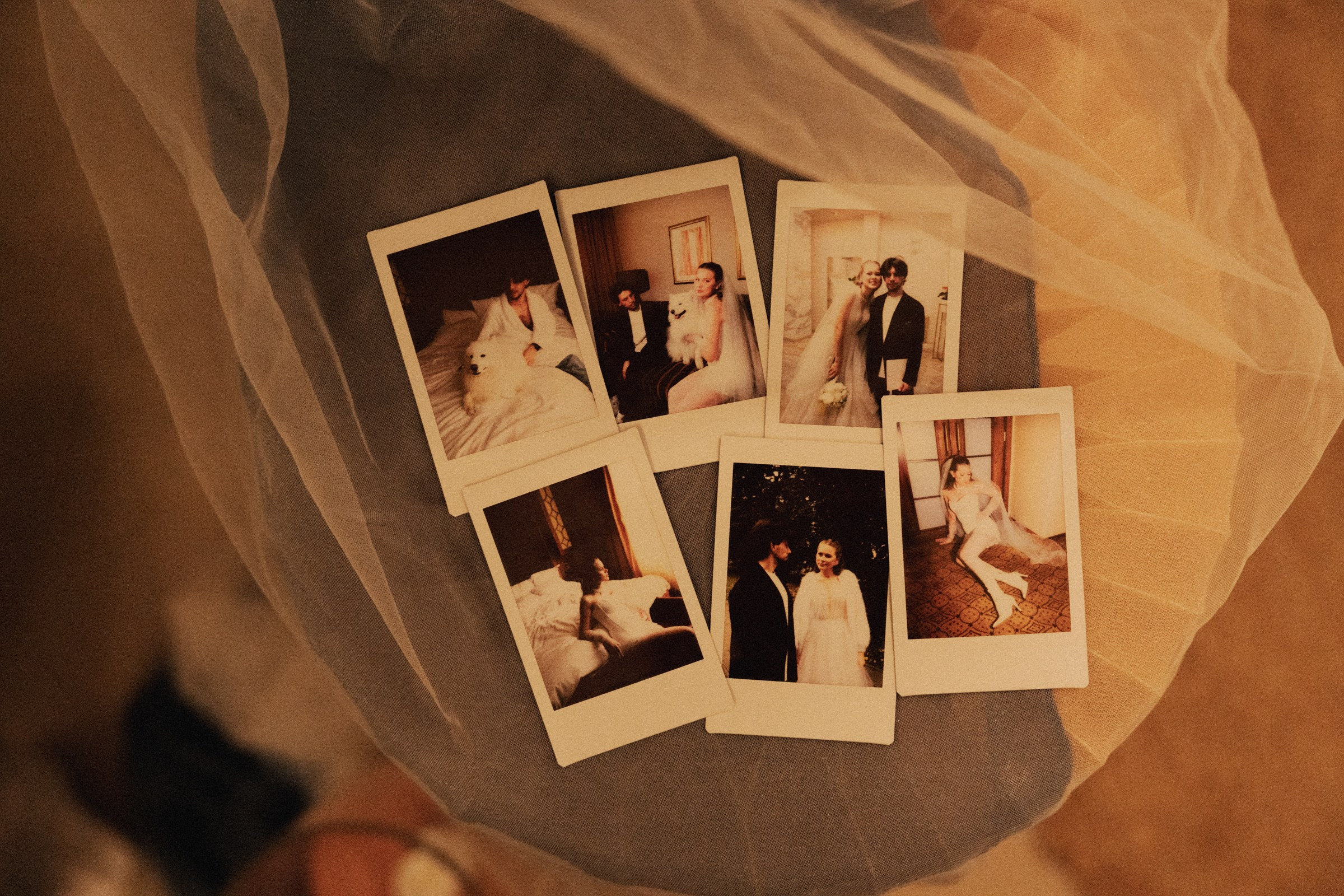 Д ♡ Е — Пушистая верность и клубника на торте. Свадебный и портретный фотограф в Москве, Светлана Янковая