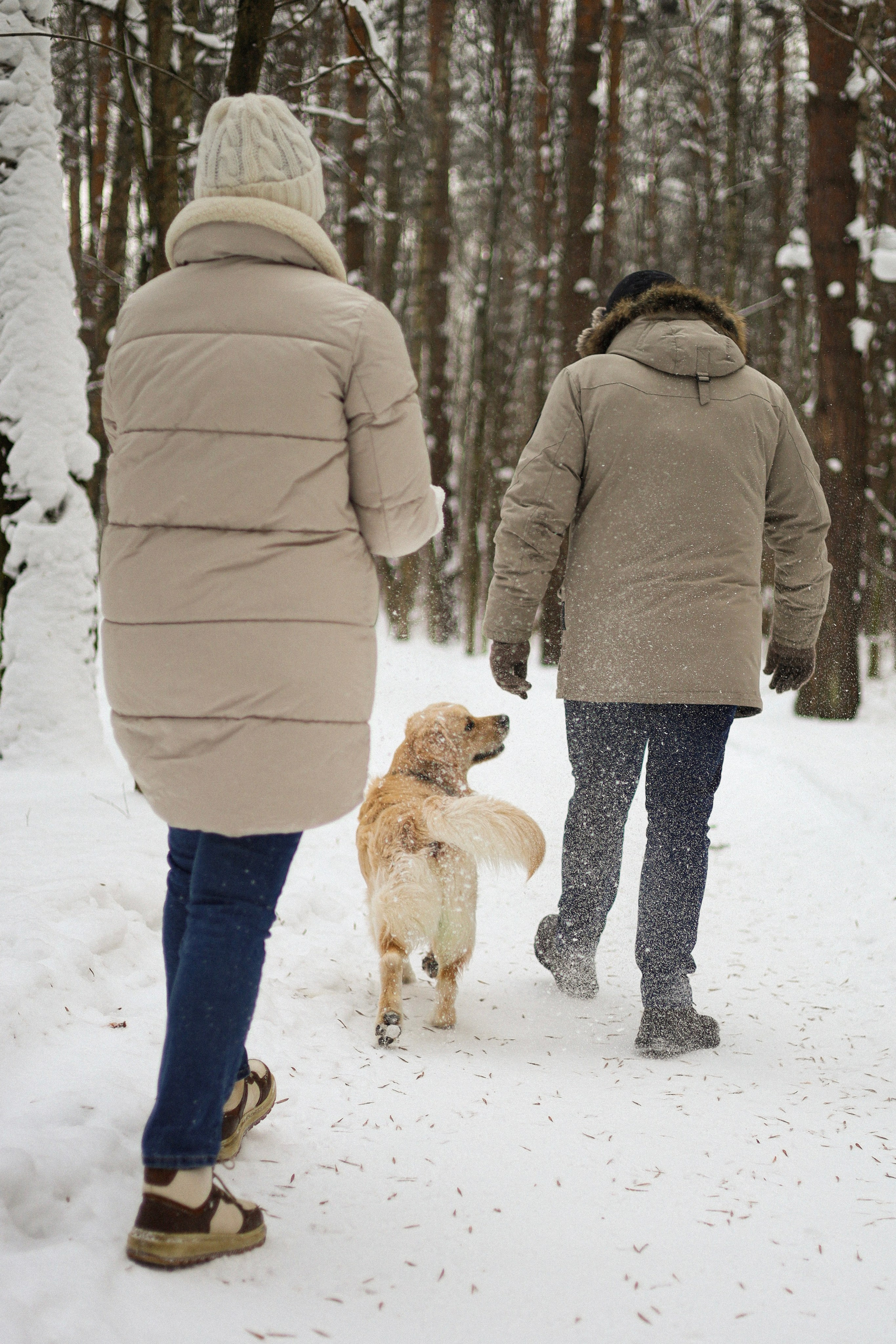 Стивен, Лена и Миша. Фотограф-анималист Ксения Шевцова|Москва