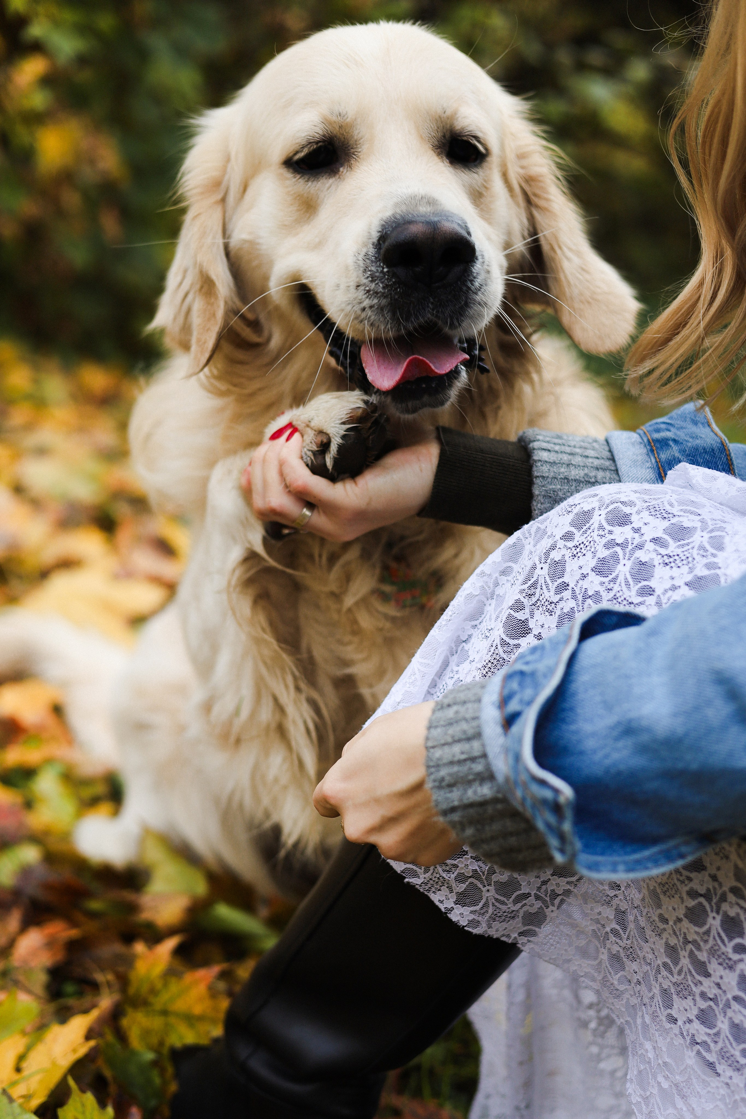 Фрэнк, Даша и Максим. Фотограф-анималист Ксения Шевцова|Москва