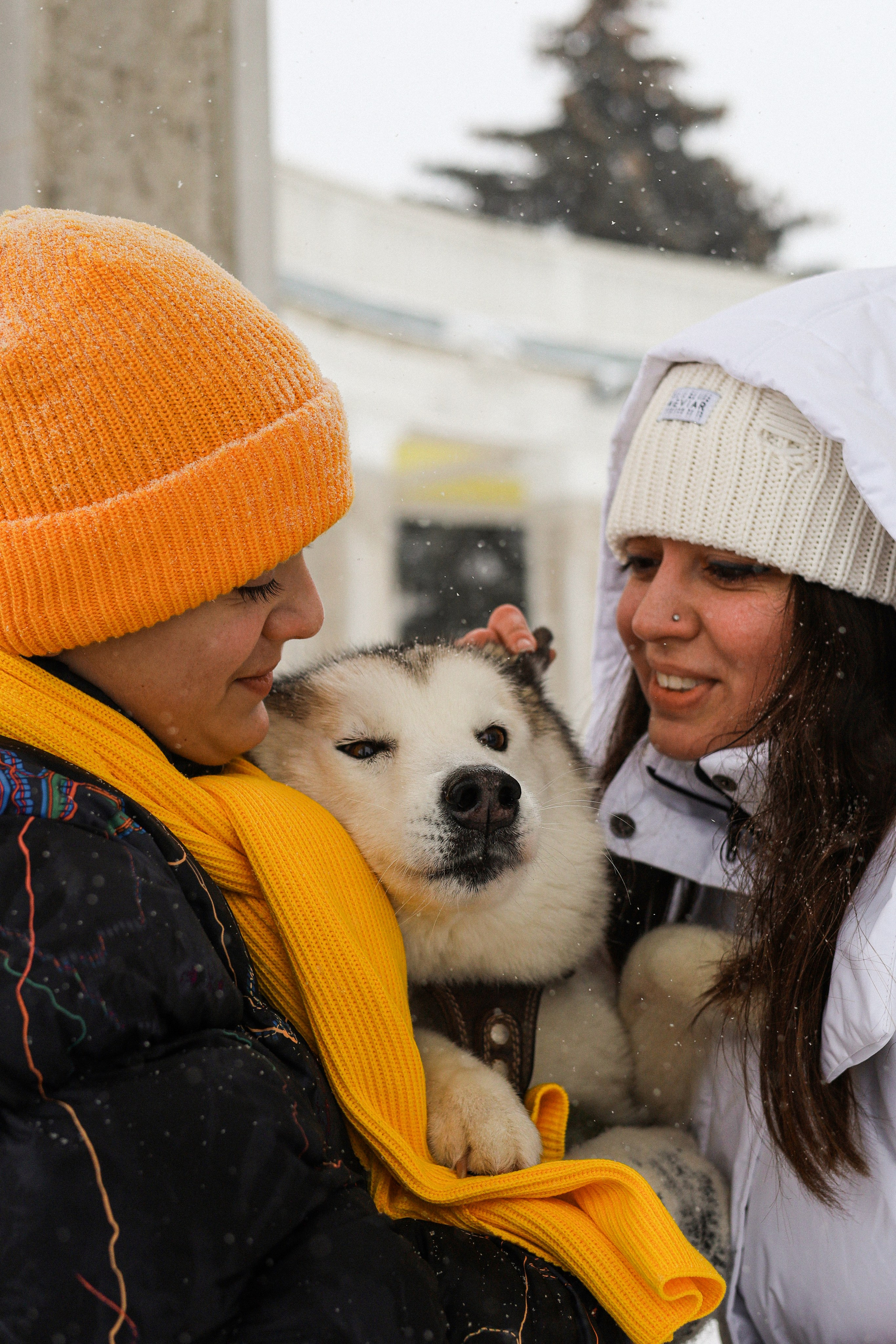 Мила, Лиза и Матвей. Фотограф-анималист Ксения Шевцова|Москва