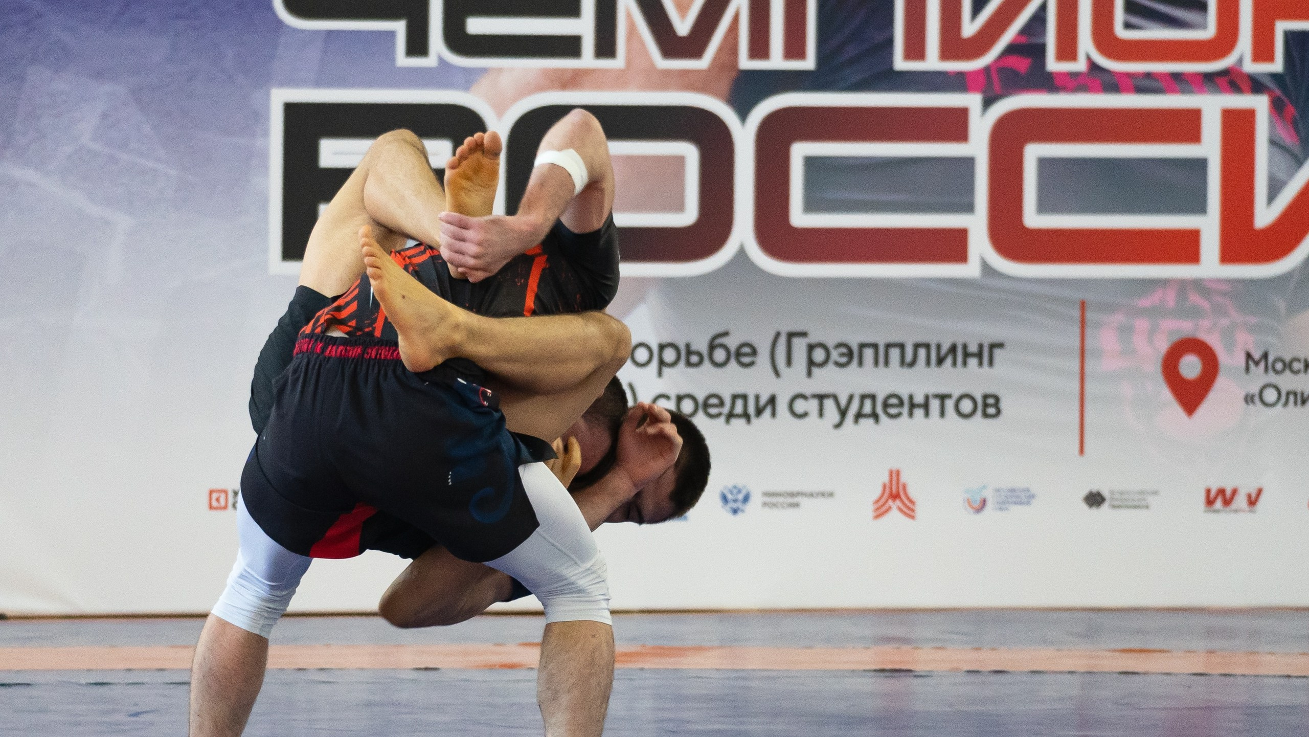 Чемпионат России по грэпплингу среди студентов 2025. Фотограф и видеооператор Екатерина Гнатюк