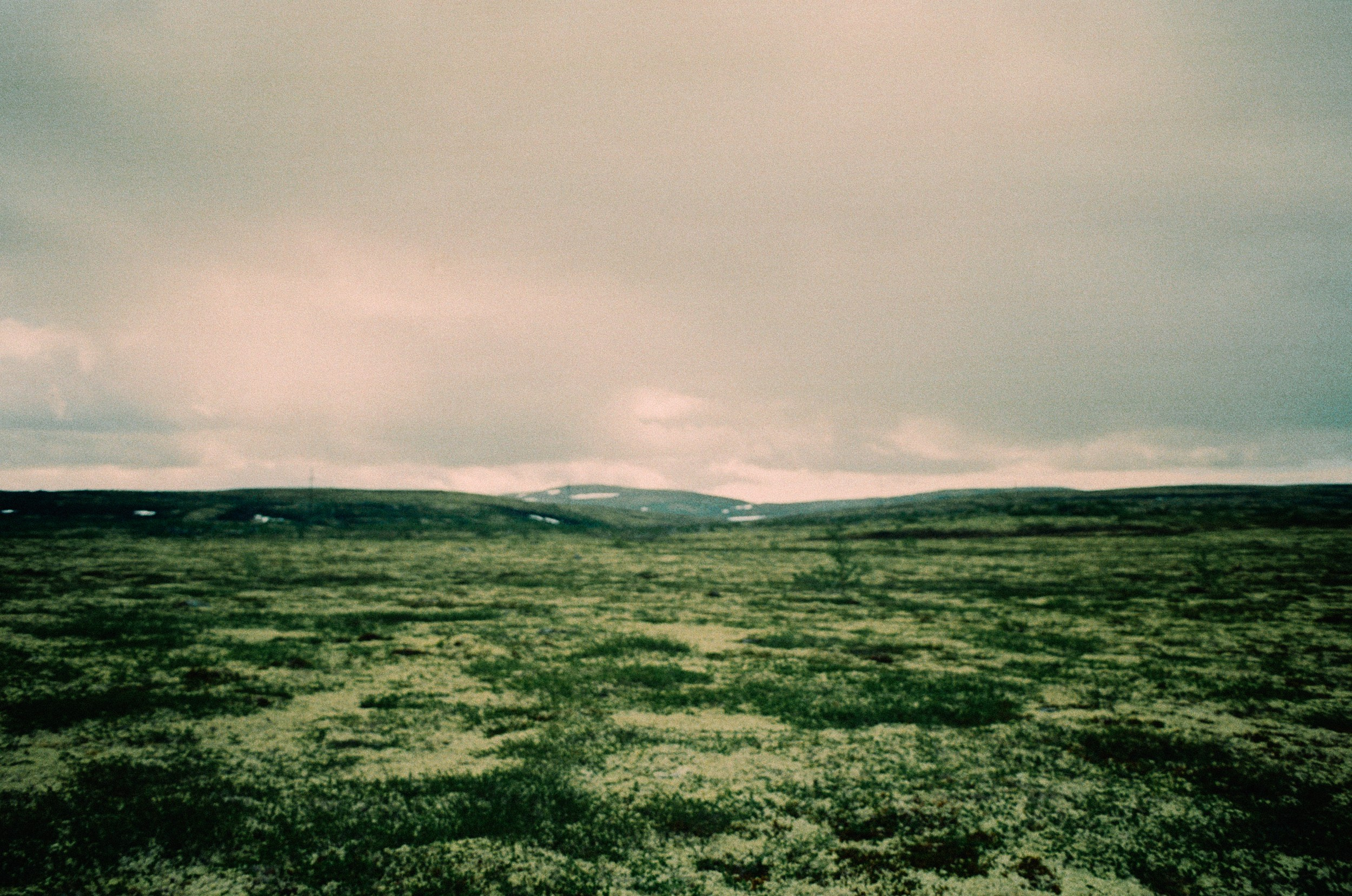 Фотосессия на плёнку 35 мм