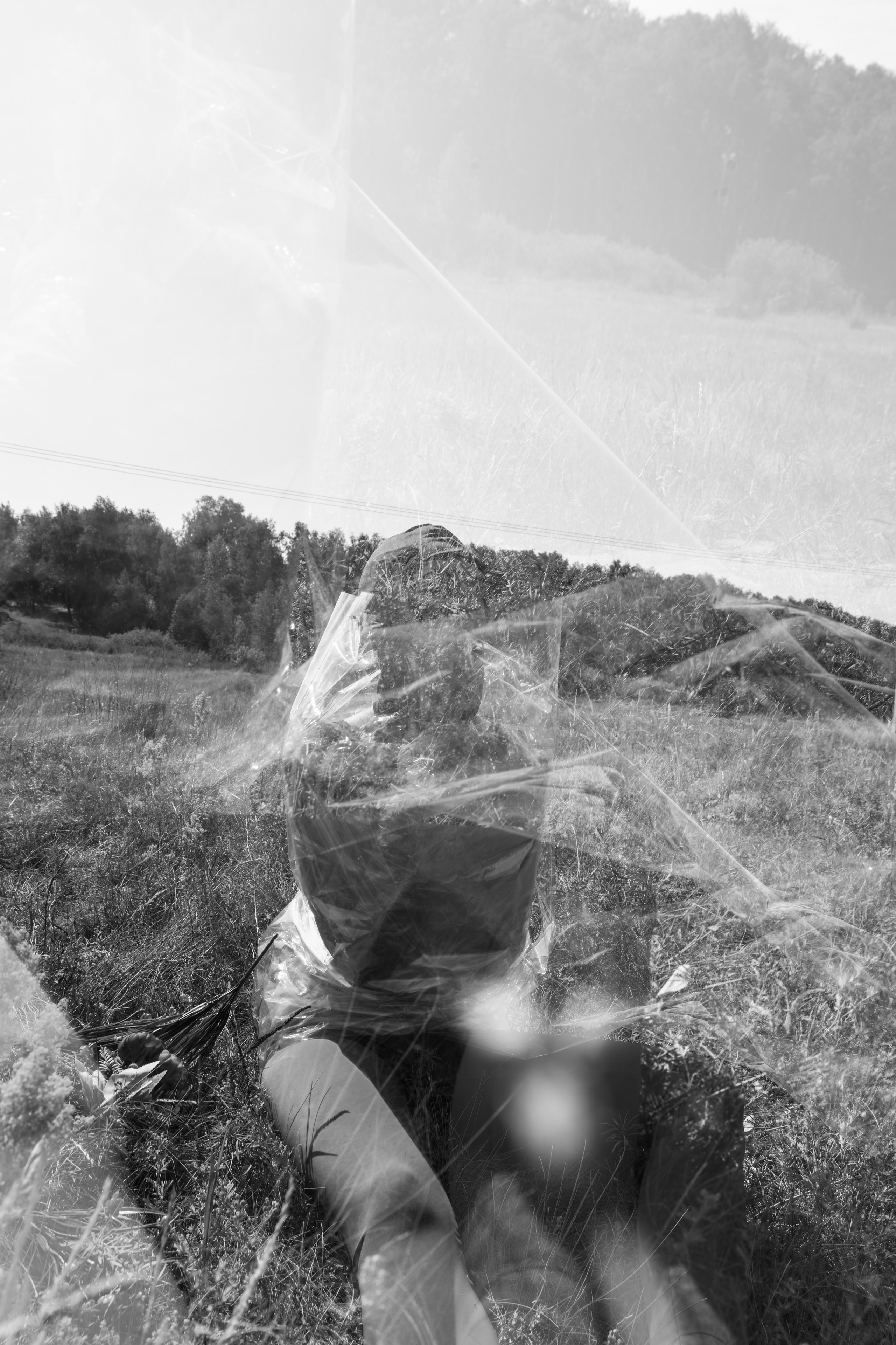 TERRA NOSTRA. Yulia Yurchevskaya | Art Director & Visual Visionary
