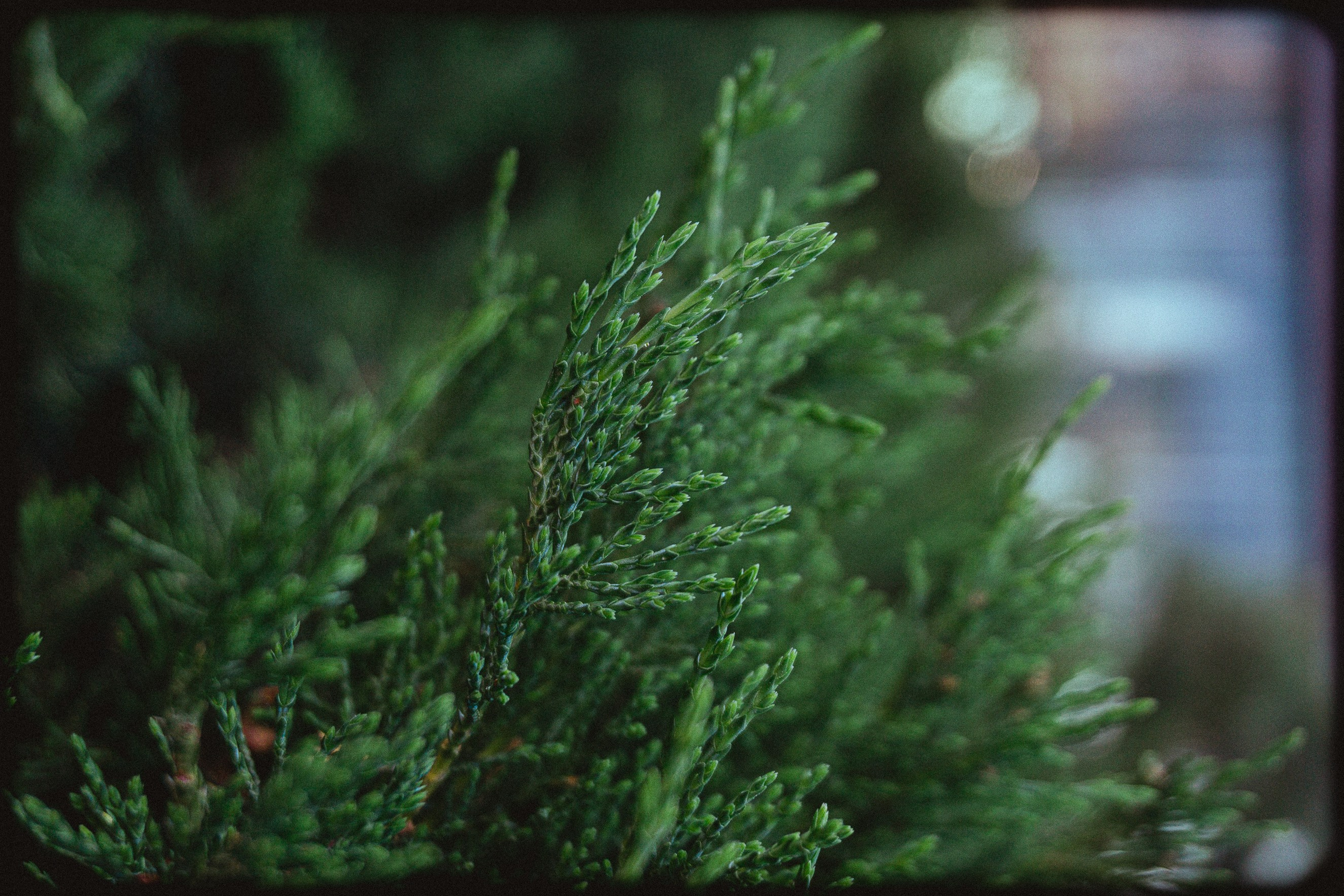 Авиапарк. Алексей Никифоров свадебный и семейный фотограф Москва, Химки