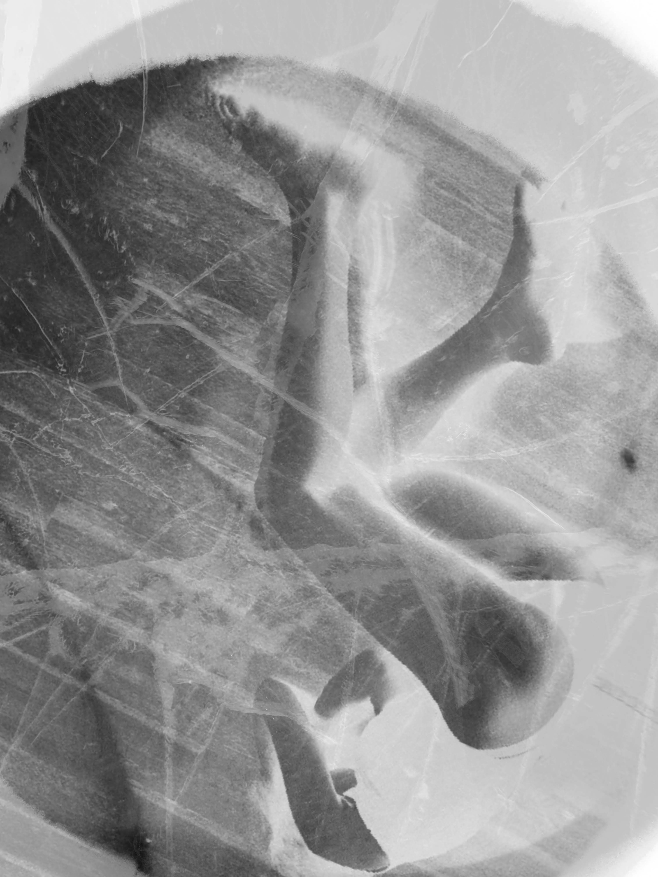 Нина. Катерина Малама арт-фотограф