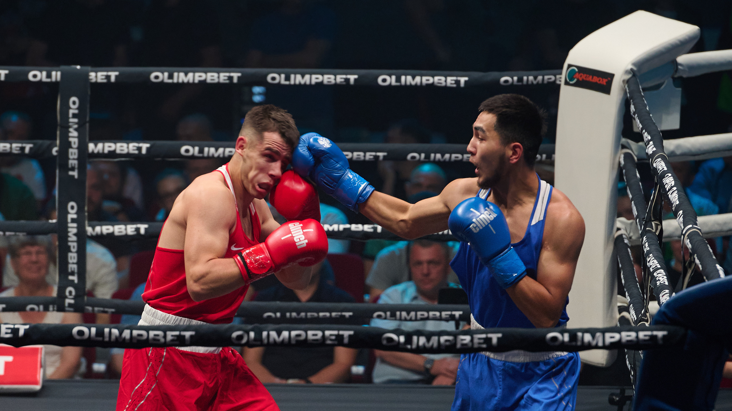 Бокс на Волге. Сборная России vs Сербии