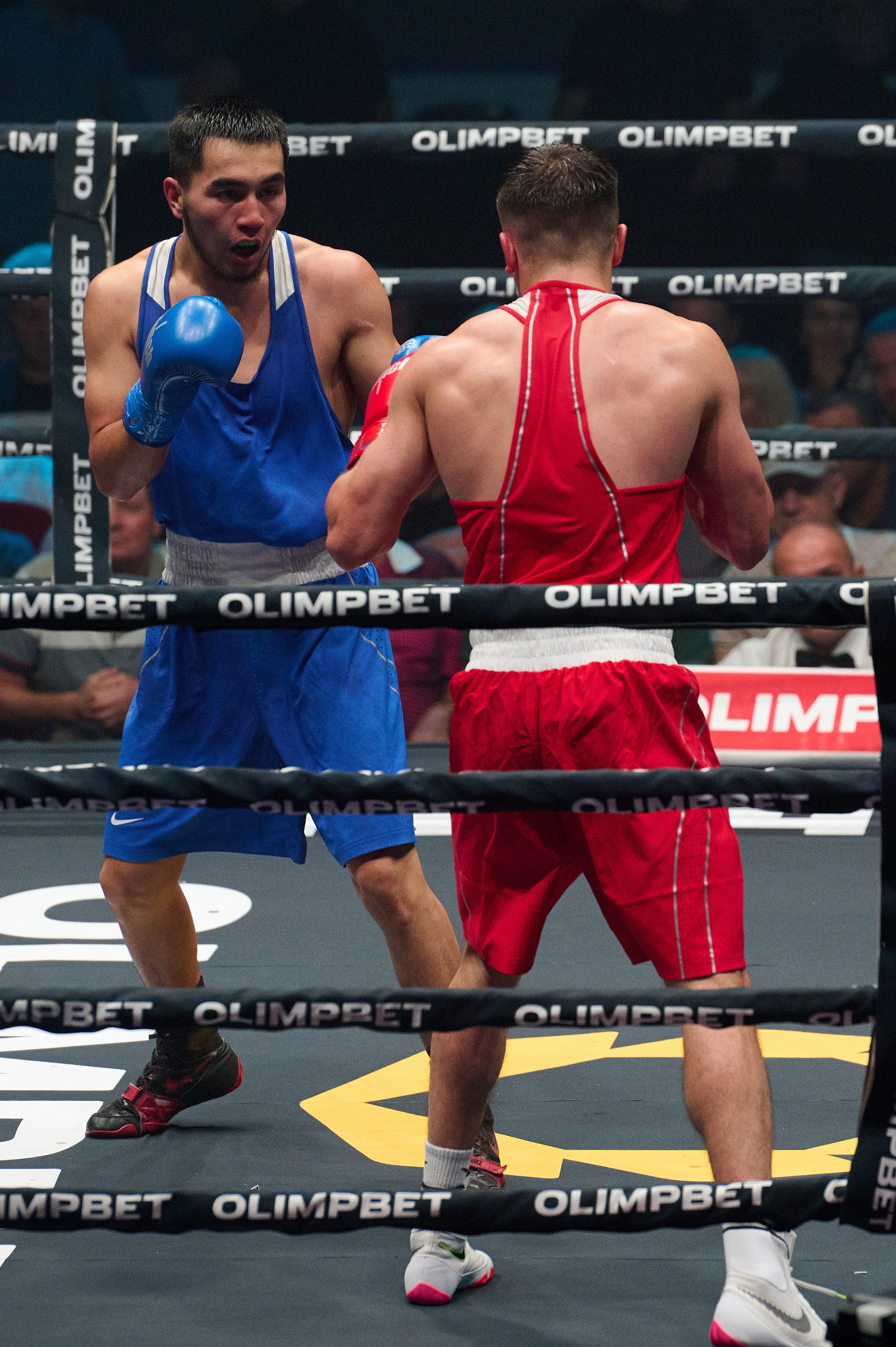 Бокс на Волге. Сборная России vs Сербии