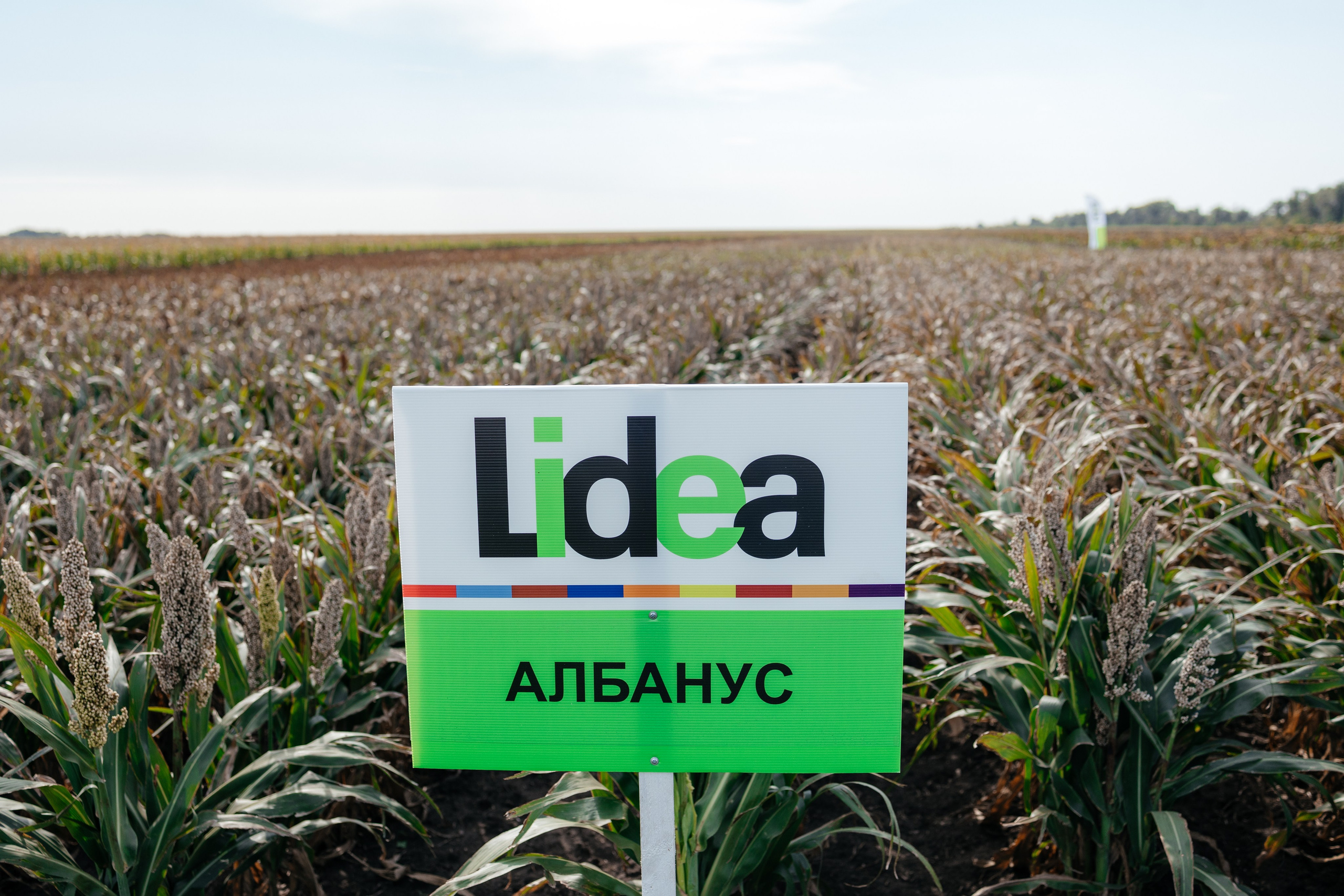 День поля. Фотограф Крохин Олег