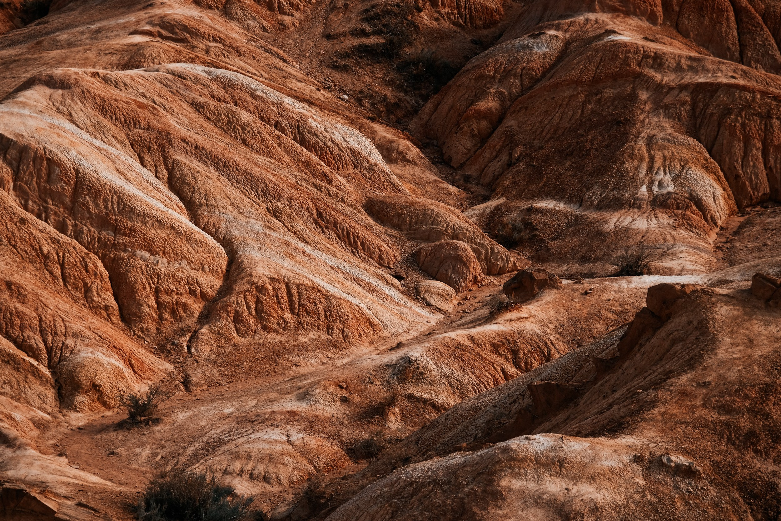 Кыргызстан. Фотограф Дмитрий Олрайт | Калуга, Россия