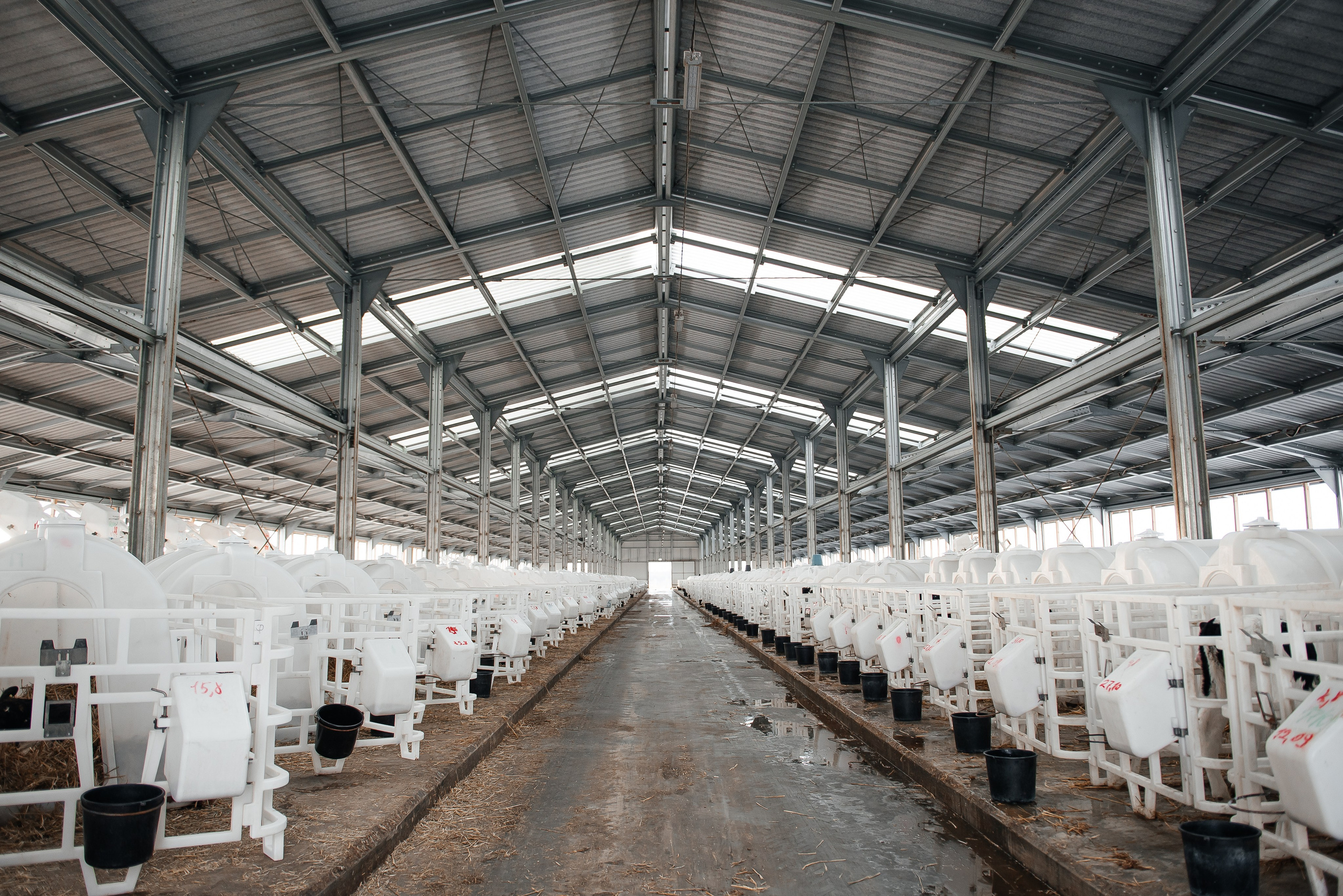 Хорошее дело I Дубенки. Фотограф в Республике Мордовия София Сержантова