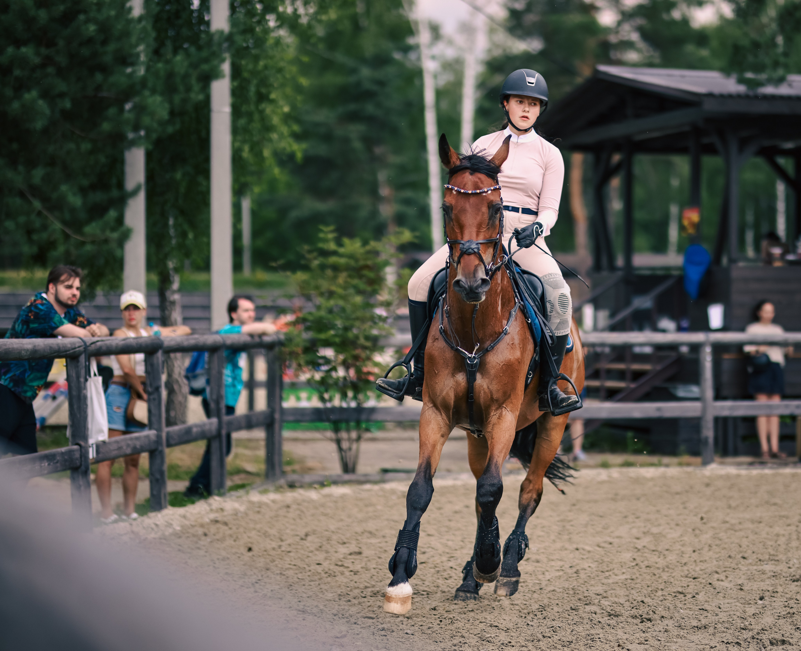 Лошади. Фотограф репортажей и стритфотосессий в Москве Людмила Смирнова