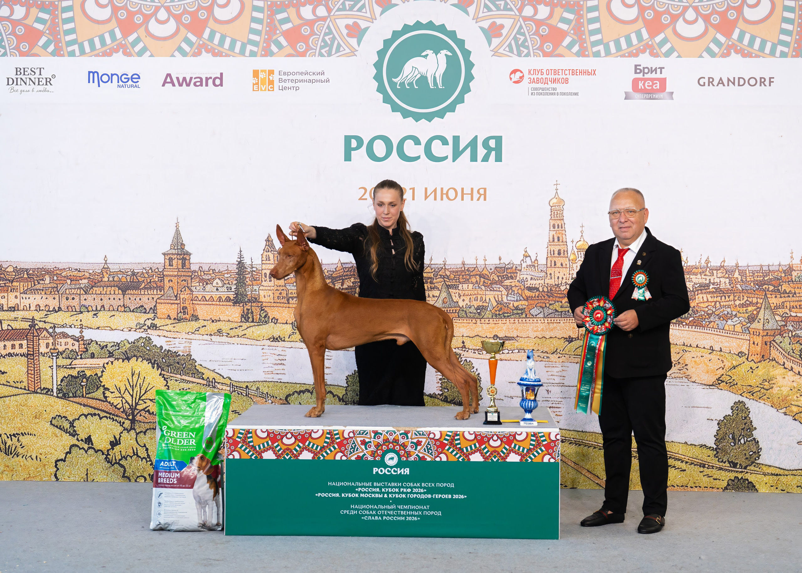 Dog Show. Давыденко Анна / Фотограф Краснодар/Сочи