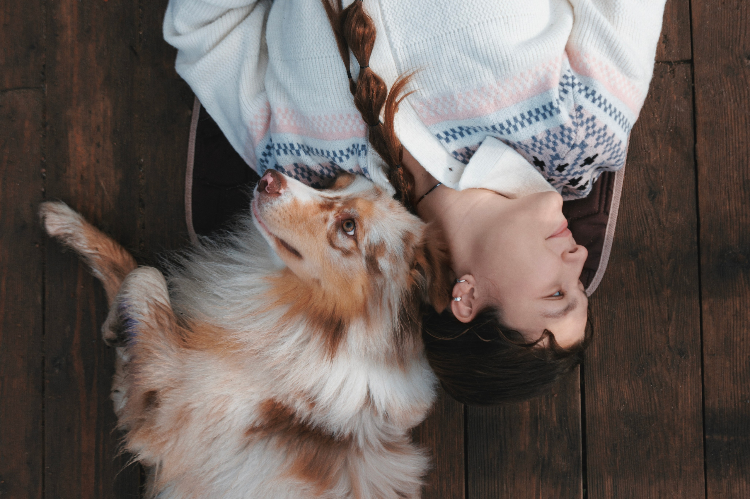 Летний рассвет с Майроном и Ланой. Стас Соболь, фотограф анималист, репортажник, Москва
