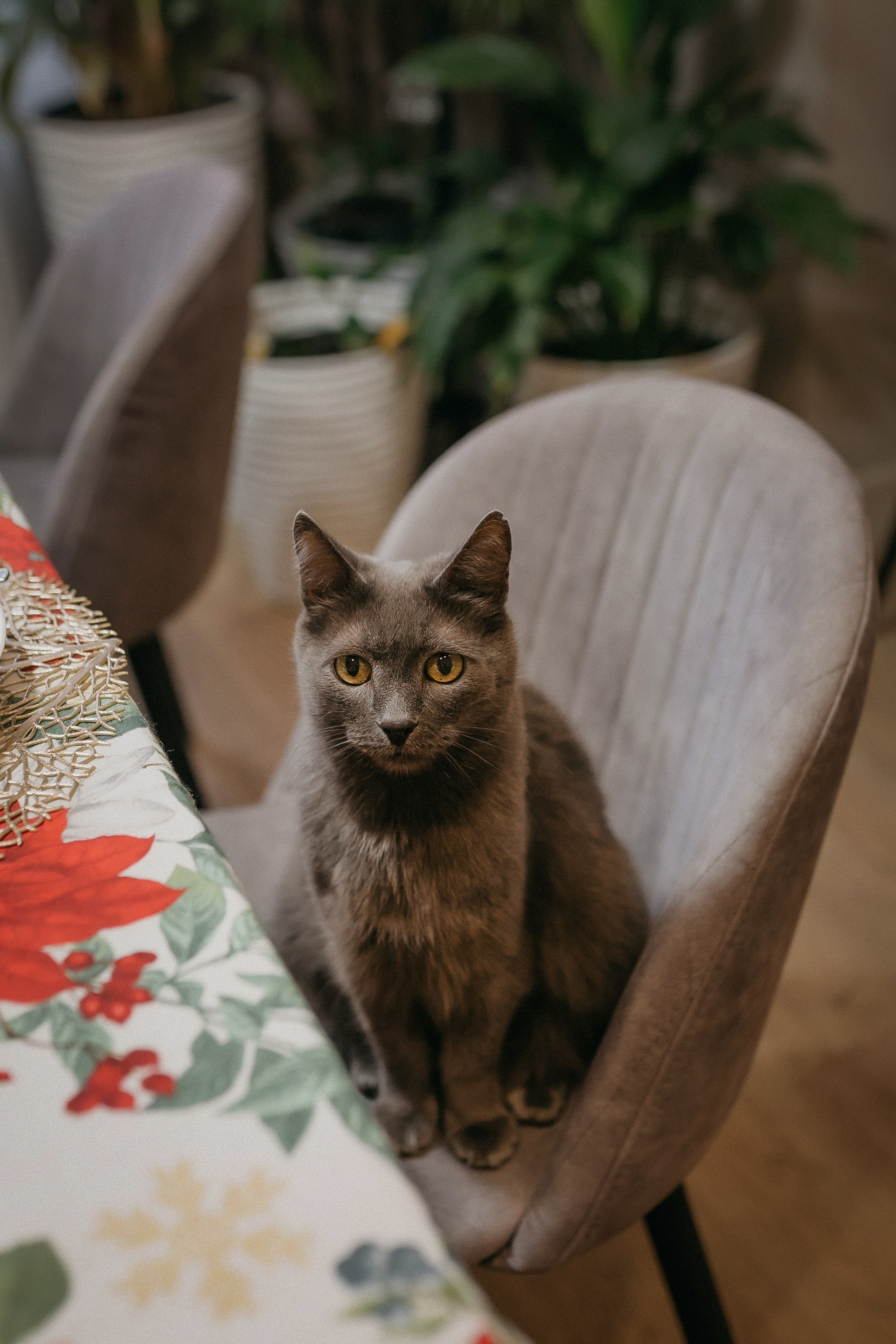 Кирюшка и Вероника. Семейный фотограф в Сургуте