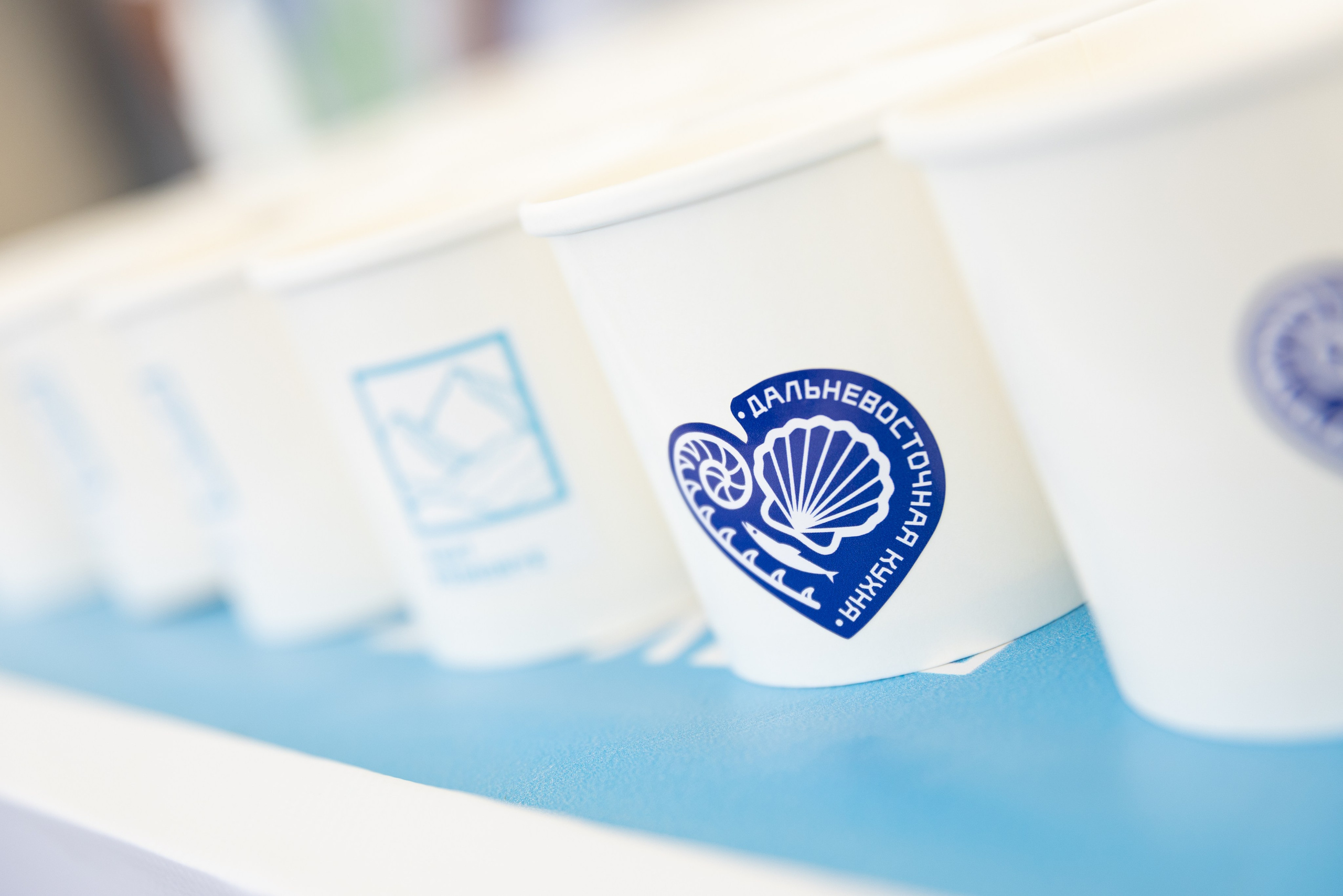 День рыбака. Владивосток 2025. Олег Катакинов| Репортажный фотограф в городе у моря (Владивосток)