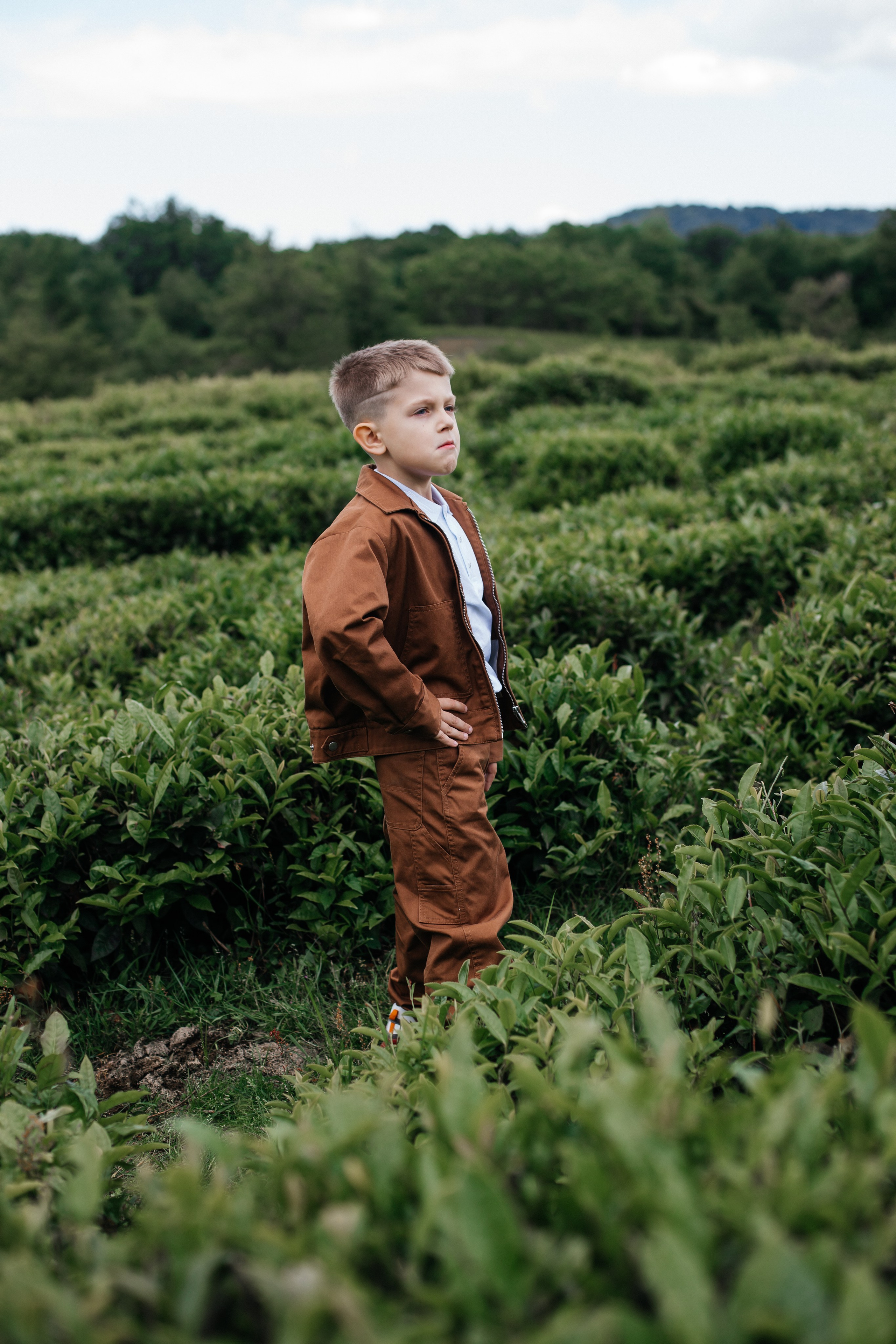 Tea plantation. Efimova Model Agency