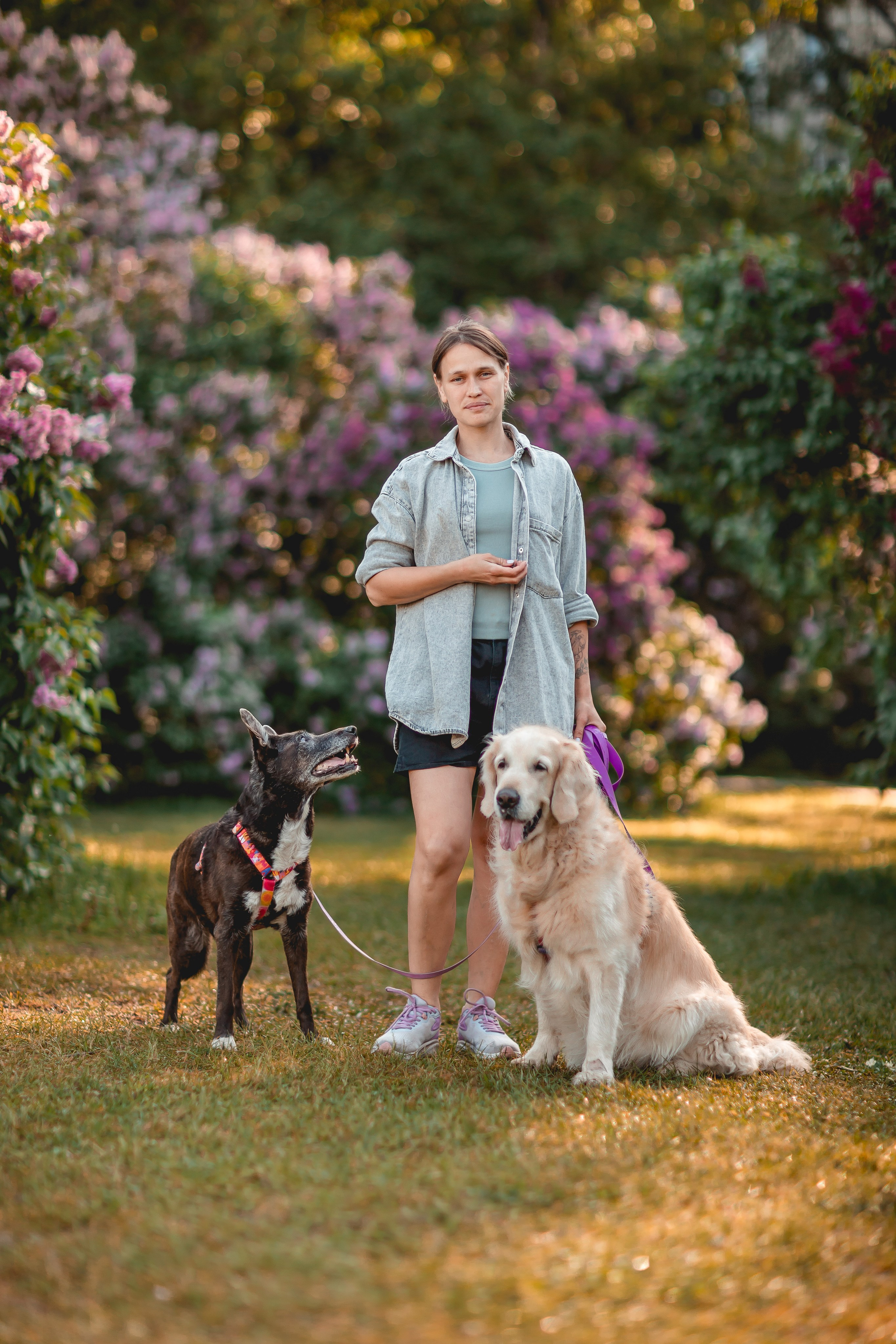 Ира, Альма и Белла. Семейный фотограф анималист Мария Крючкова