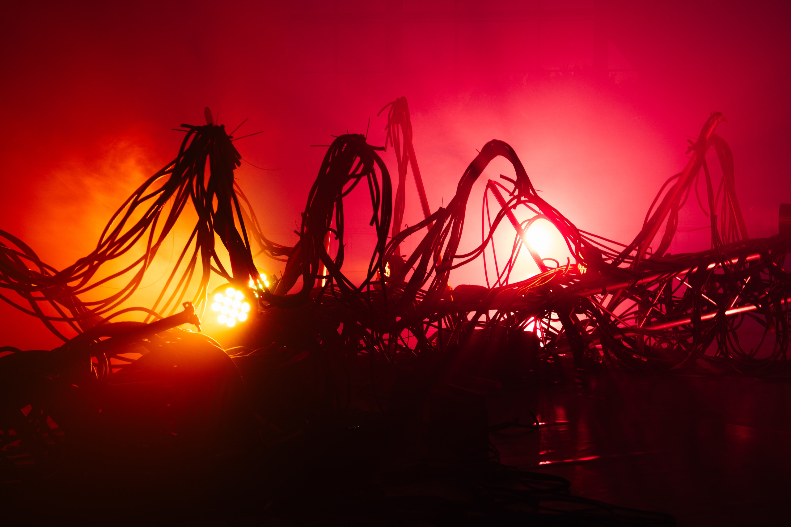 PANTERRA, CHRONOMORPH 001. @tomrus: Рустам Шагиморданов — фотограф