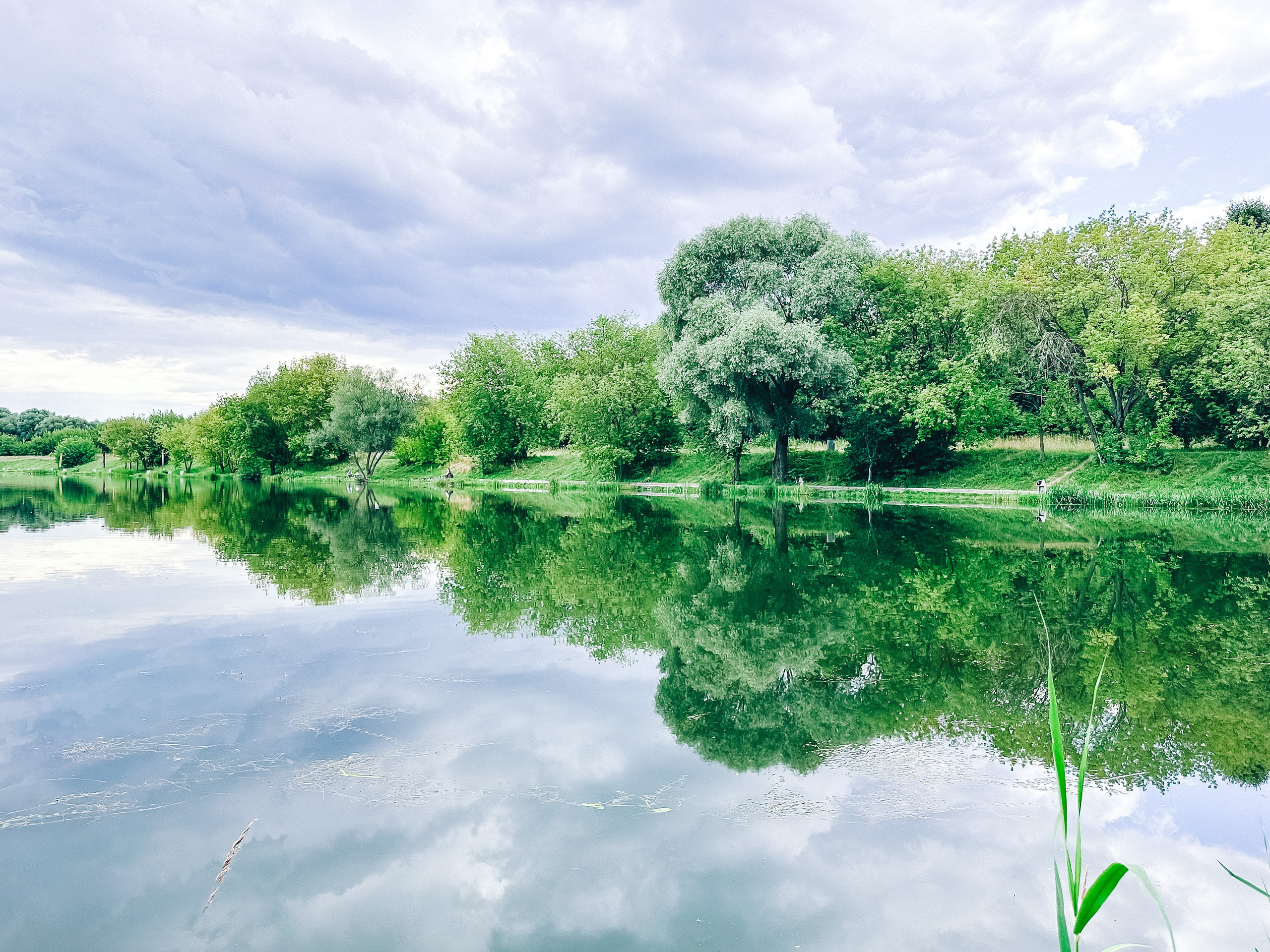 Природа. Команда фотографов Кристины Ивановой