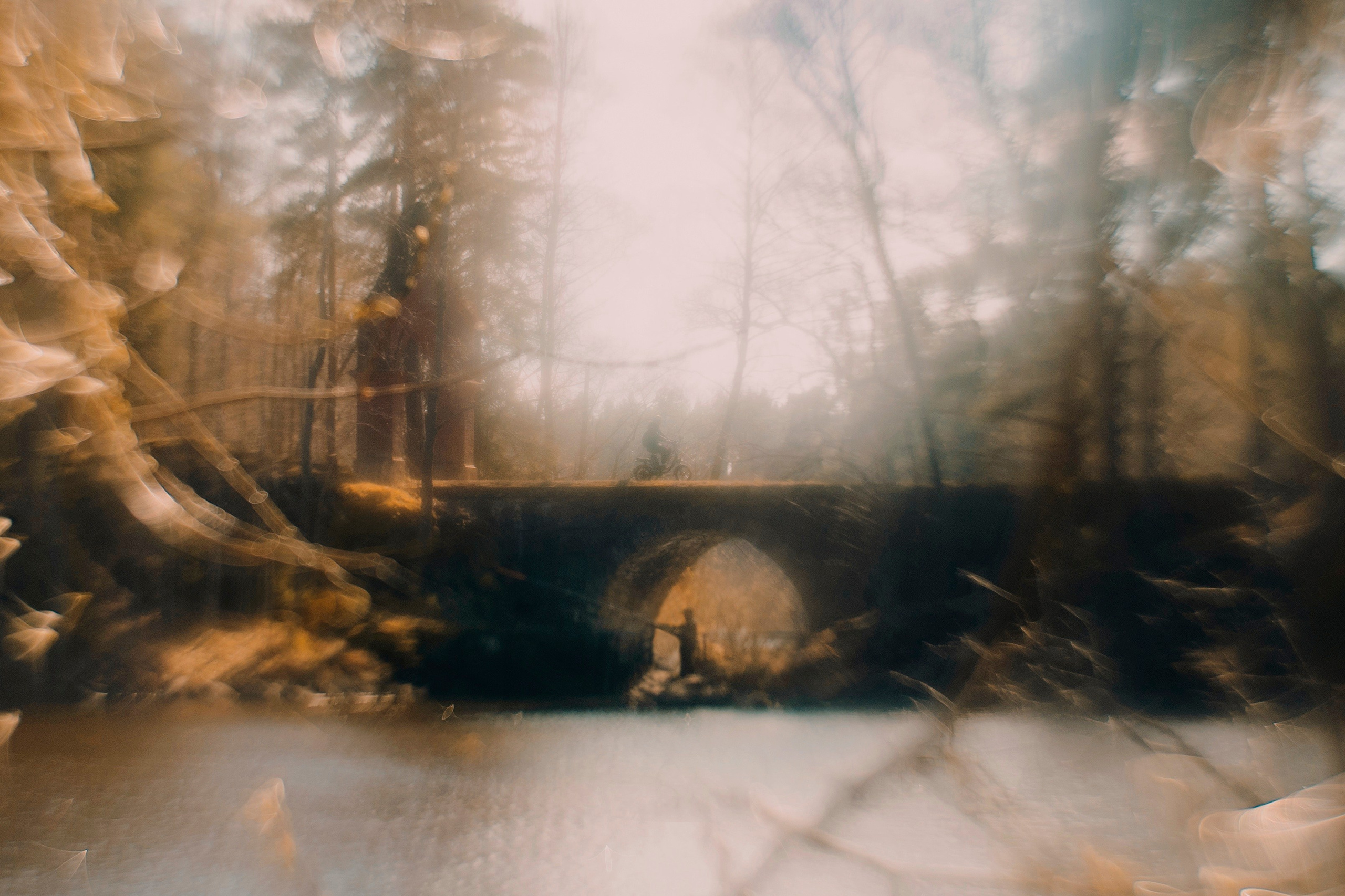 Природа. Трандин Иван Фотограф СПб