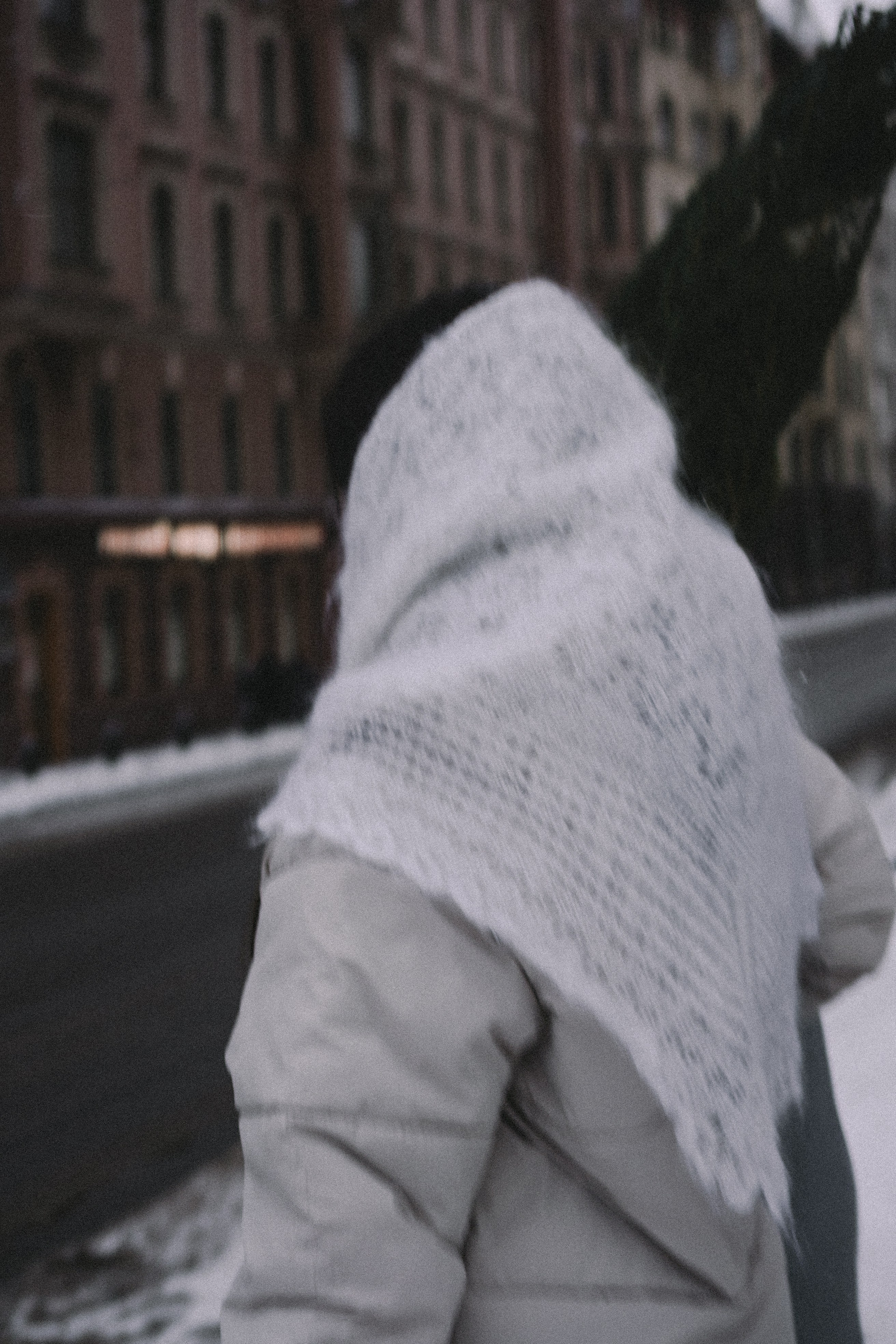 Зимняя история. Профессиональный фотограф, Санкт-Петербург — Виктория Богомолова