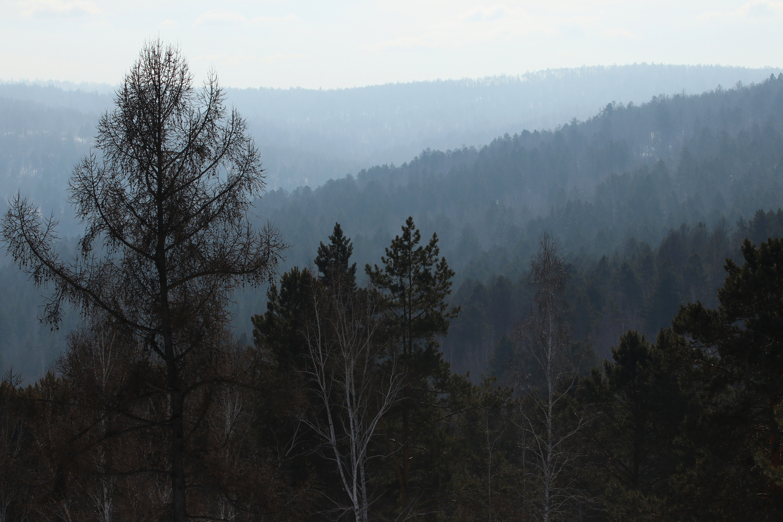 Аршан. Февраль 2025. Путешественник-фотограф из Санкт-Петербурга Татьяна Свистулина