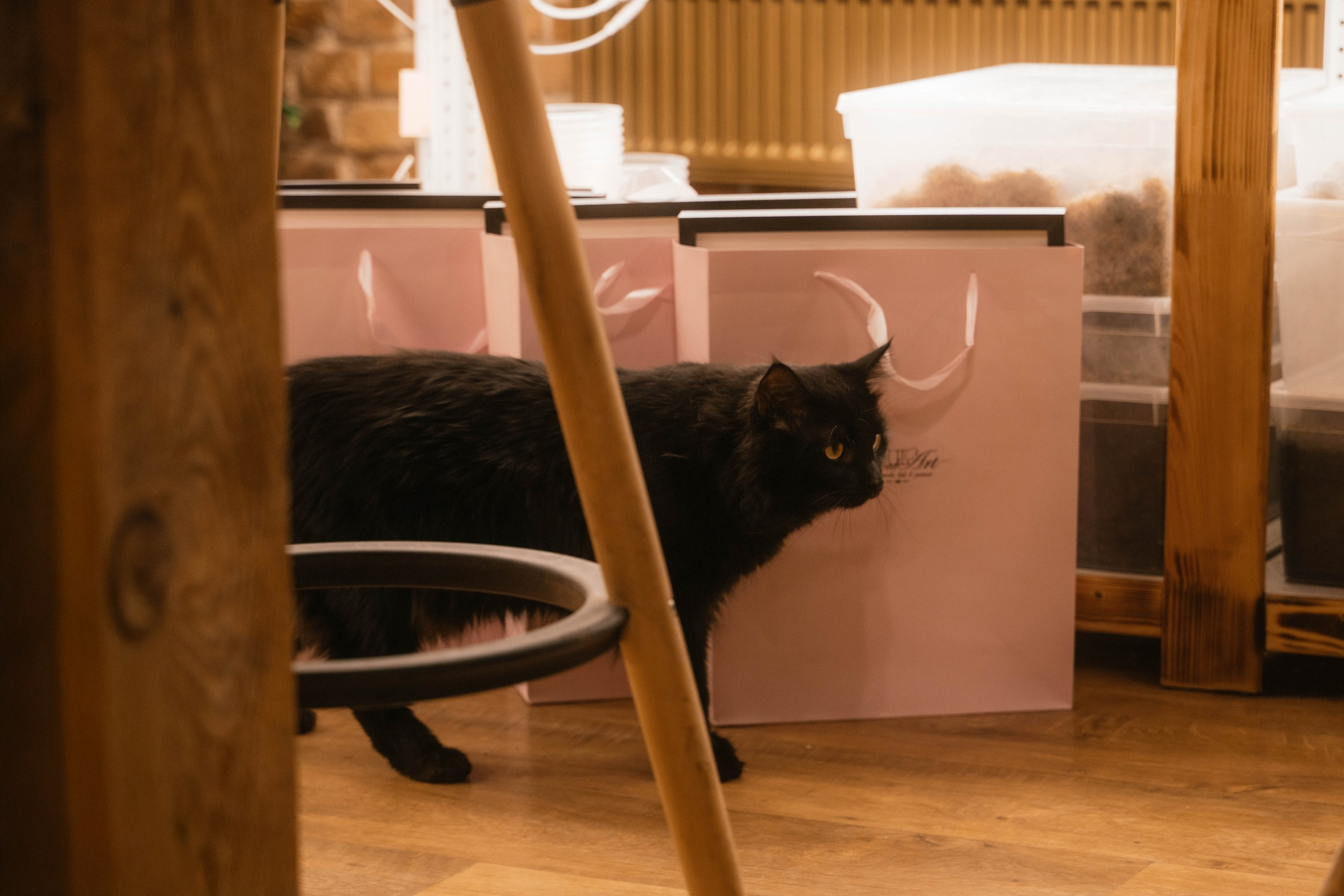 Мастер-класс по рисованию на день рождения. Свадебный, семейный фотограф в Рязани Лена Брант