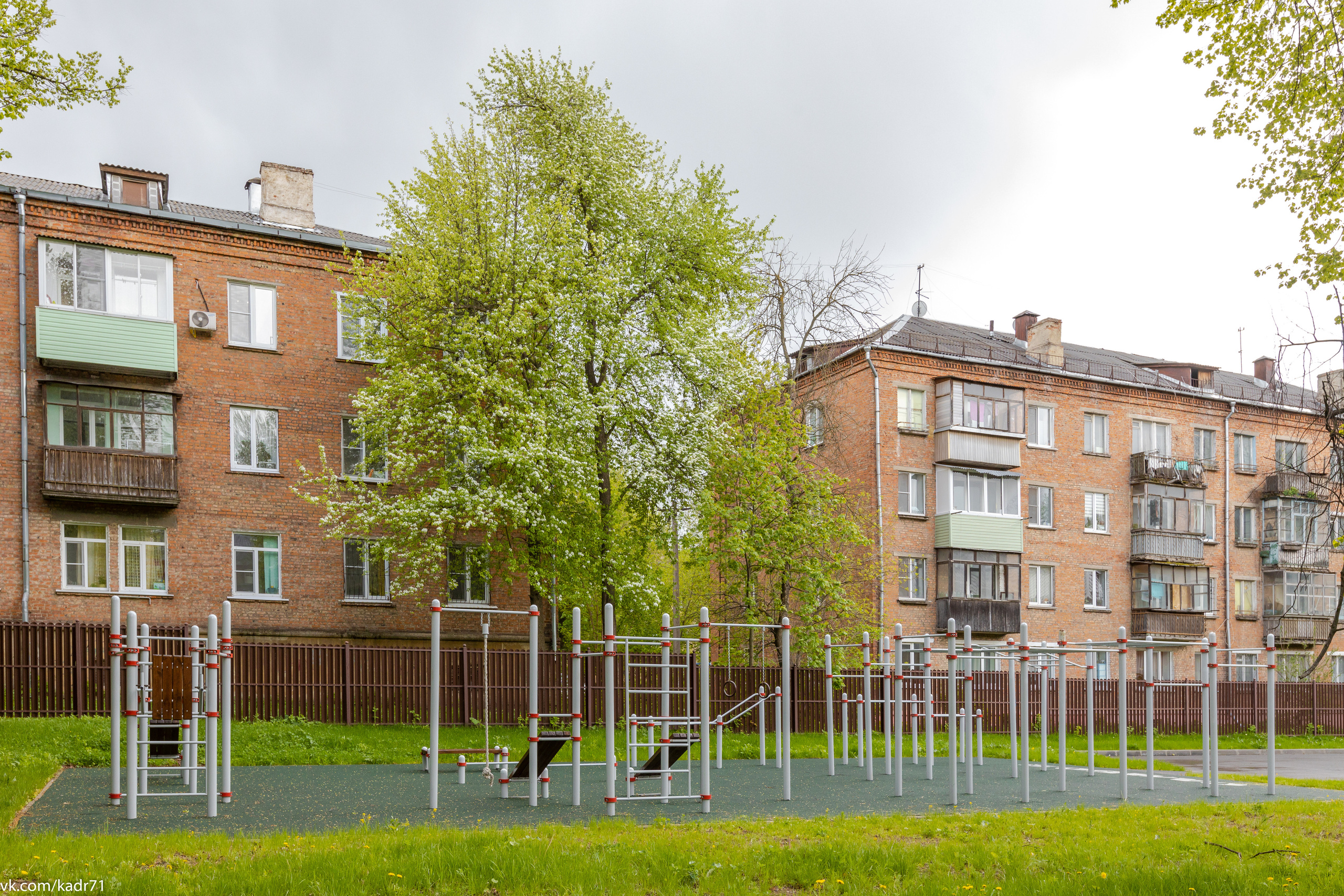Спортивная школа «Металлург» САМБО 70 лет. Фотограф в Туле Крупский АнДРей. Фотостудия «КАДР71» в Туле