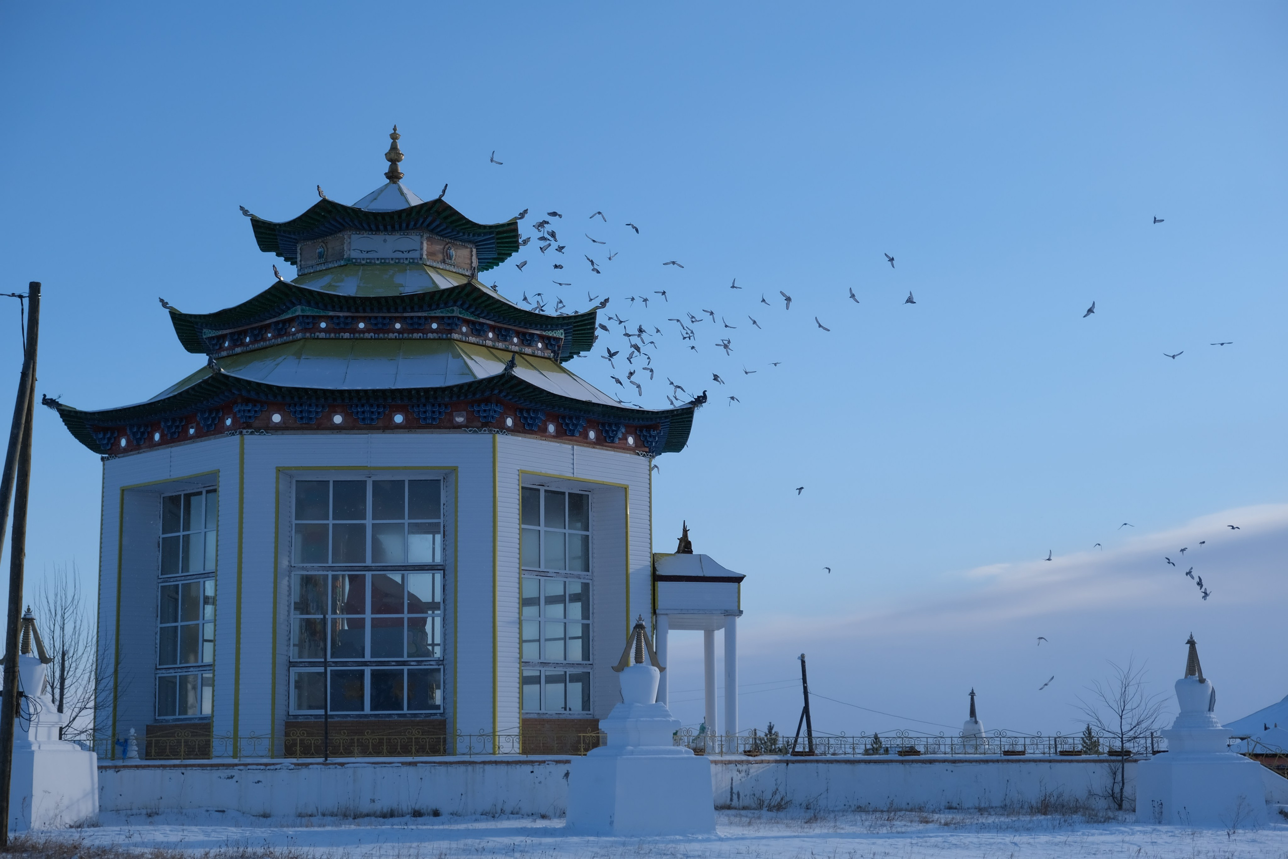 Кижингинский район. Сэсэг — дочь степи | семейный фотограф