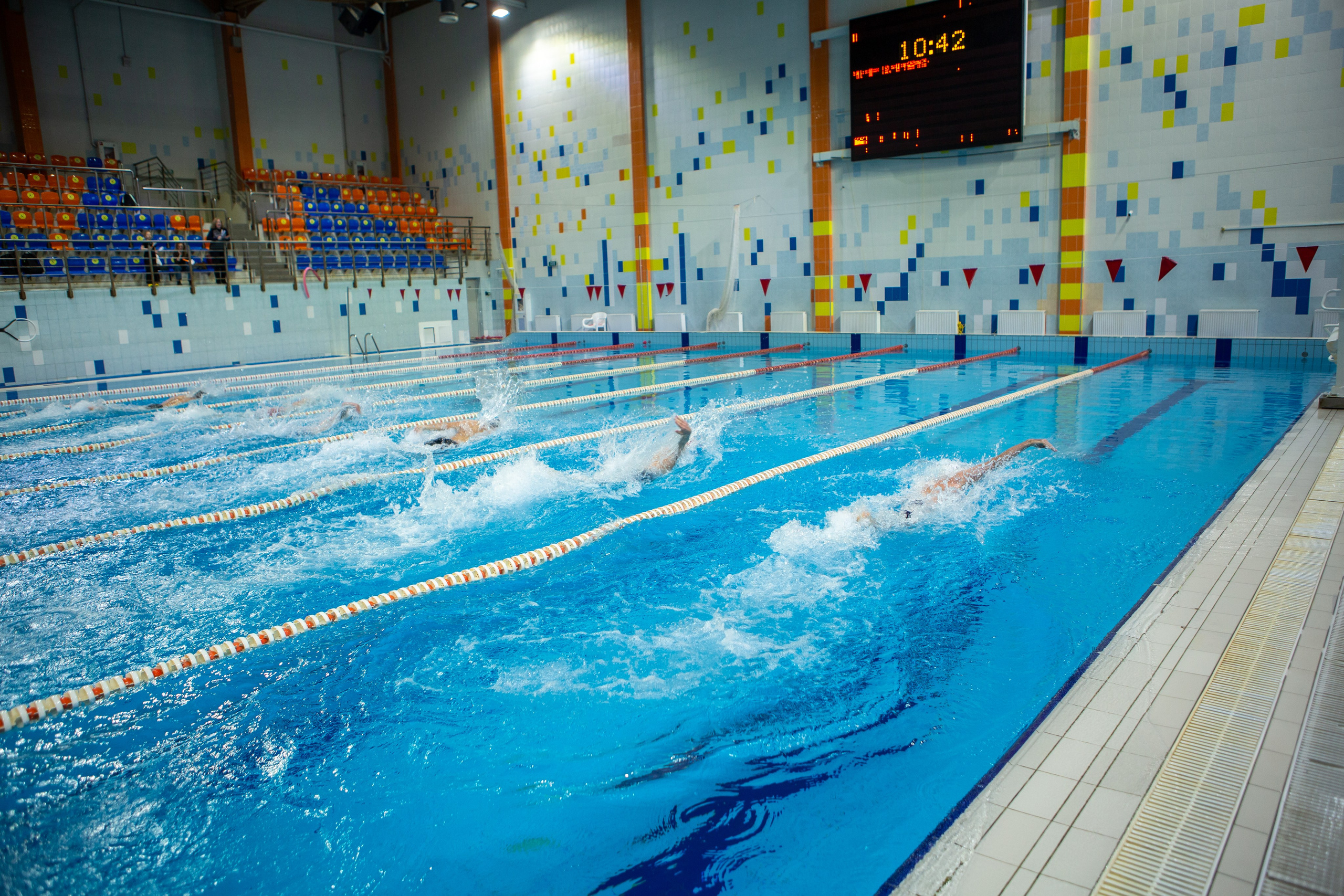 Турнир по плаванию. Репортажный, семейный, свадебный, портретный фотограф