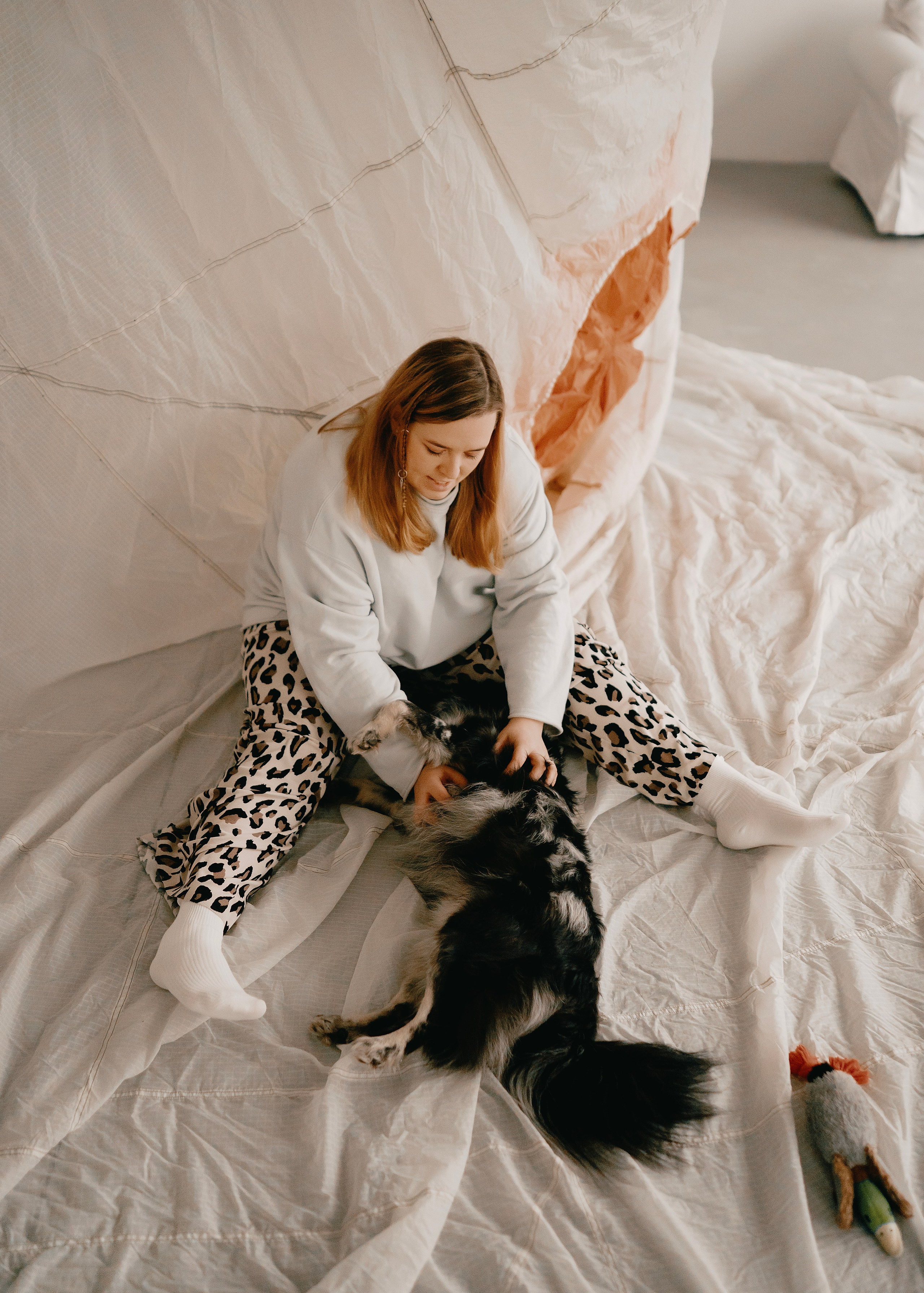 Бублик. Фотограф- анималист Александра Матвеева