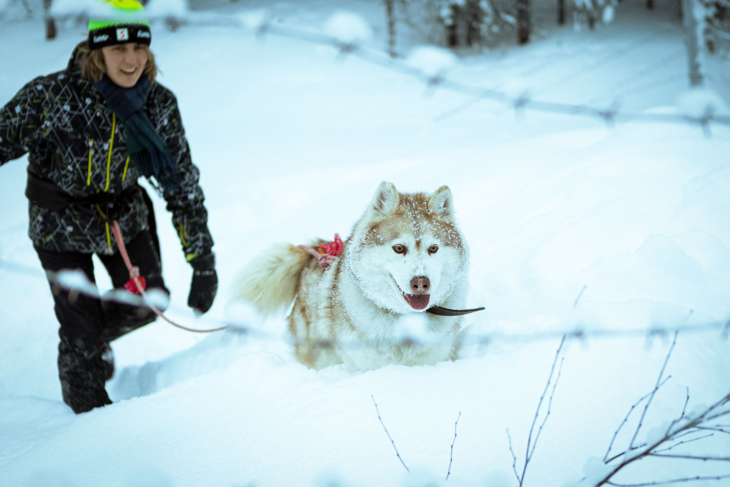 Калевала (зима 2022). Фотограф Виноградов Константин