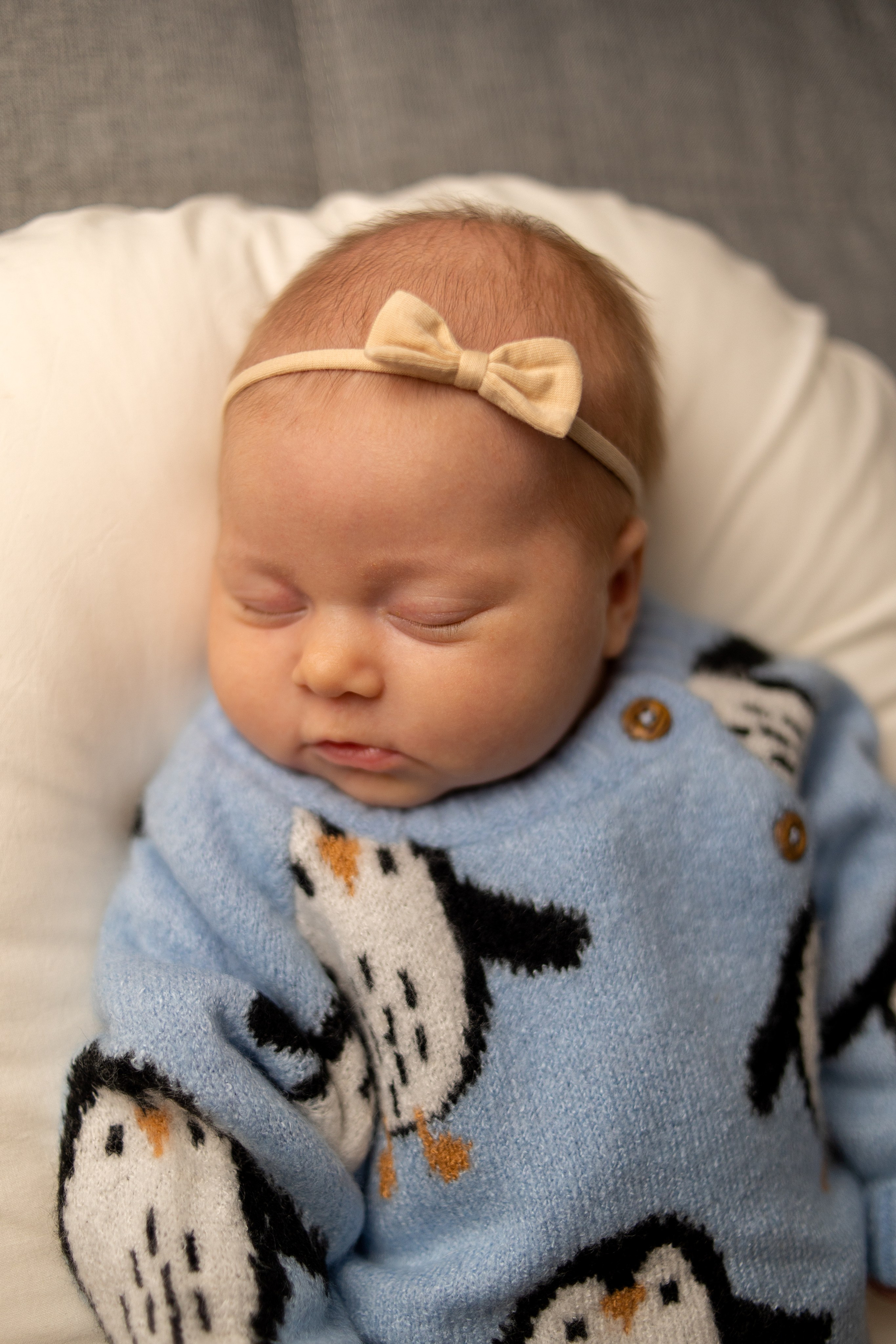 Фотосессия новорожденного в Санкт-Петербурге