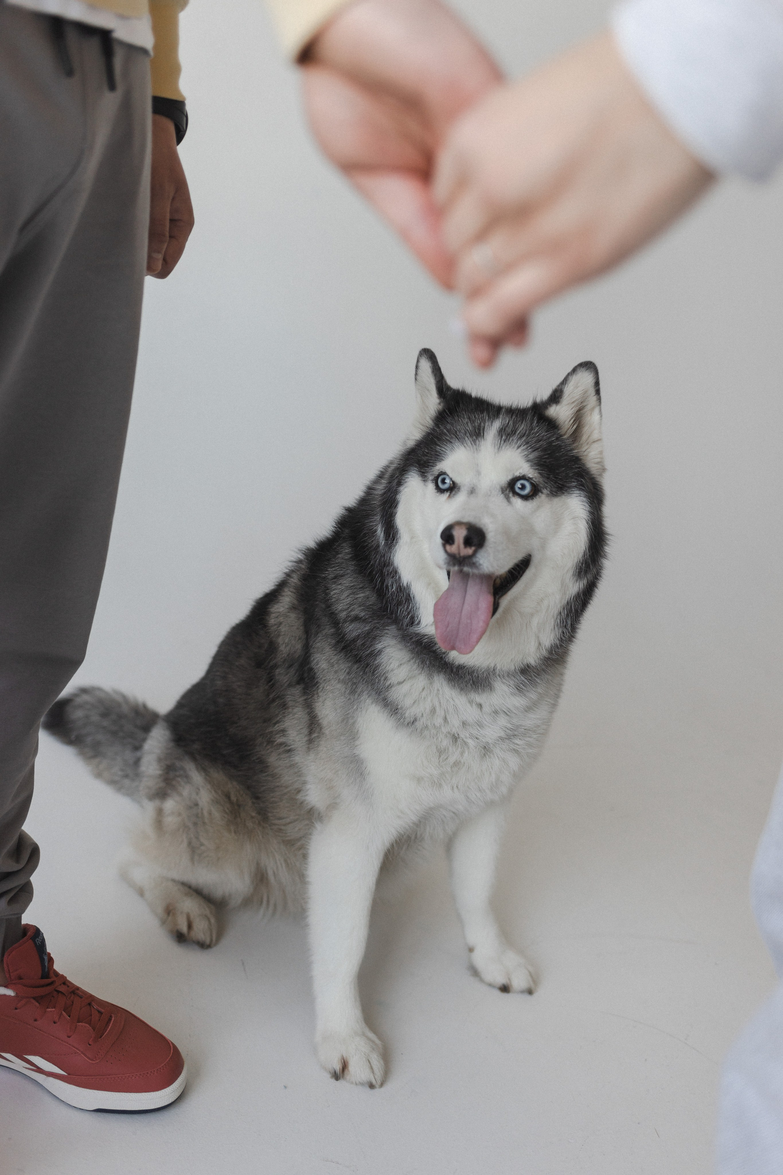 История одной семьи. Семейный фотограф в Москве