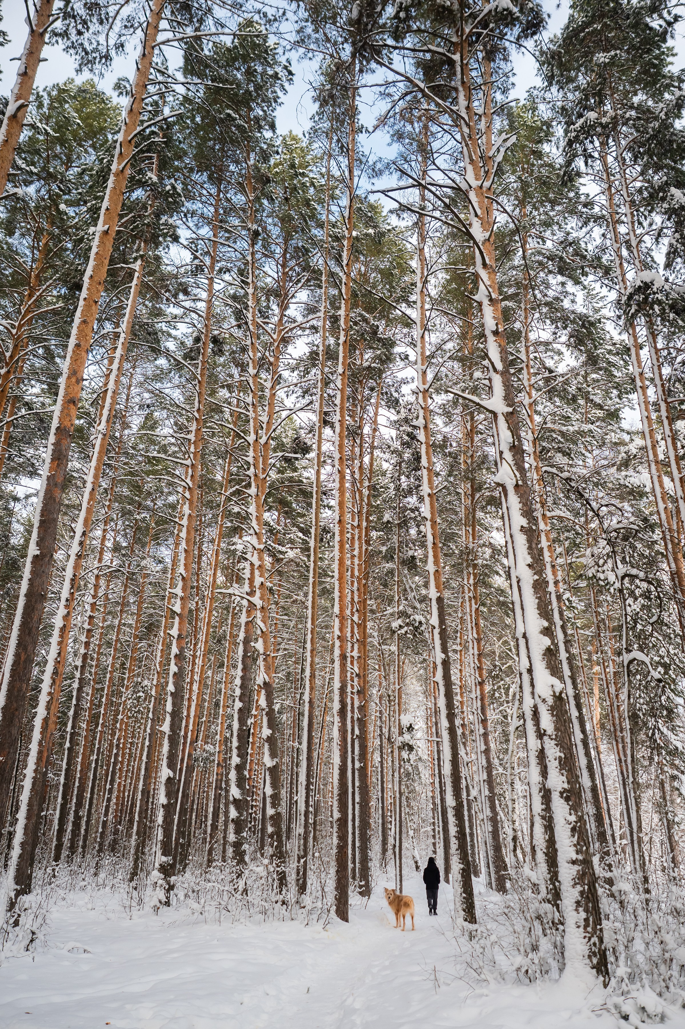 Красота Заречного. Репортажный, семейный и детский фотограф в Пензе и Заречном Арина Ермилова. Картины барельеф на заказ